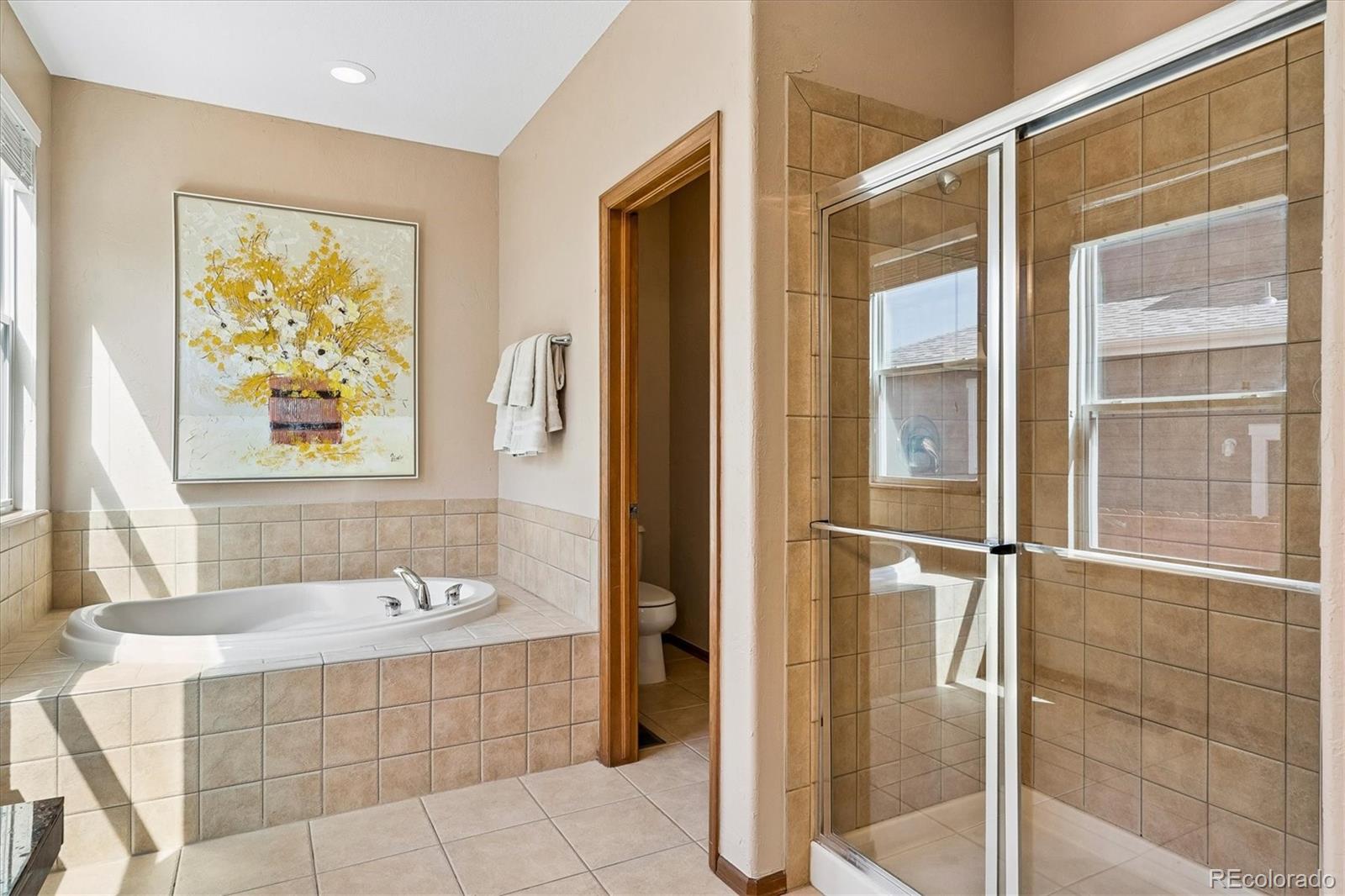 MLS Image #11 for 915  tarpan place,castle rock, Colorado