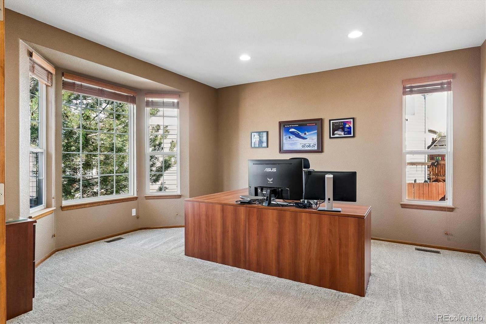MLS Image #2 for 915  tarpan place,castle rock, Colorado