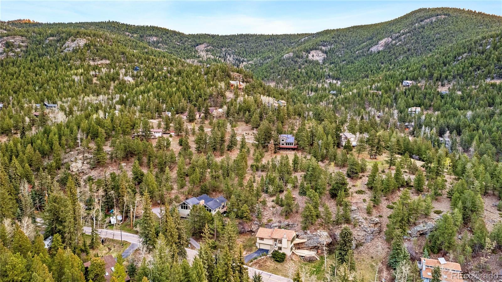 MLS Image #10 for 2192  witter gulch road,evergreen, Colorado