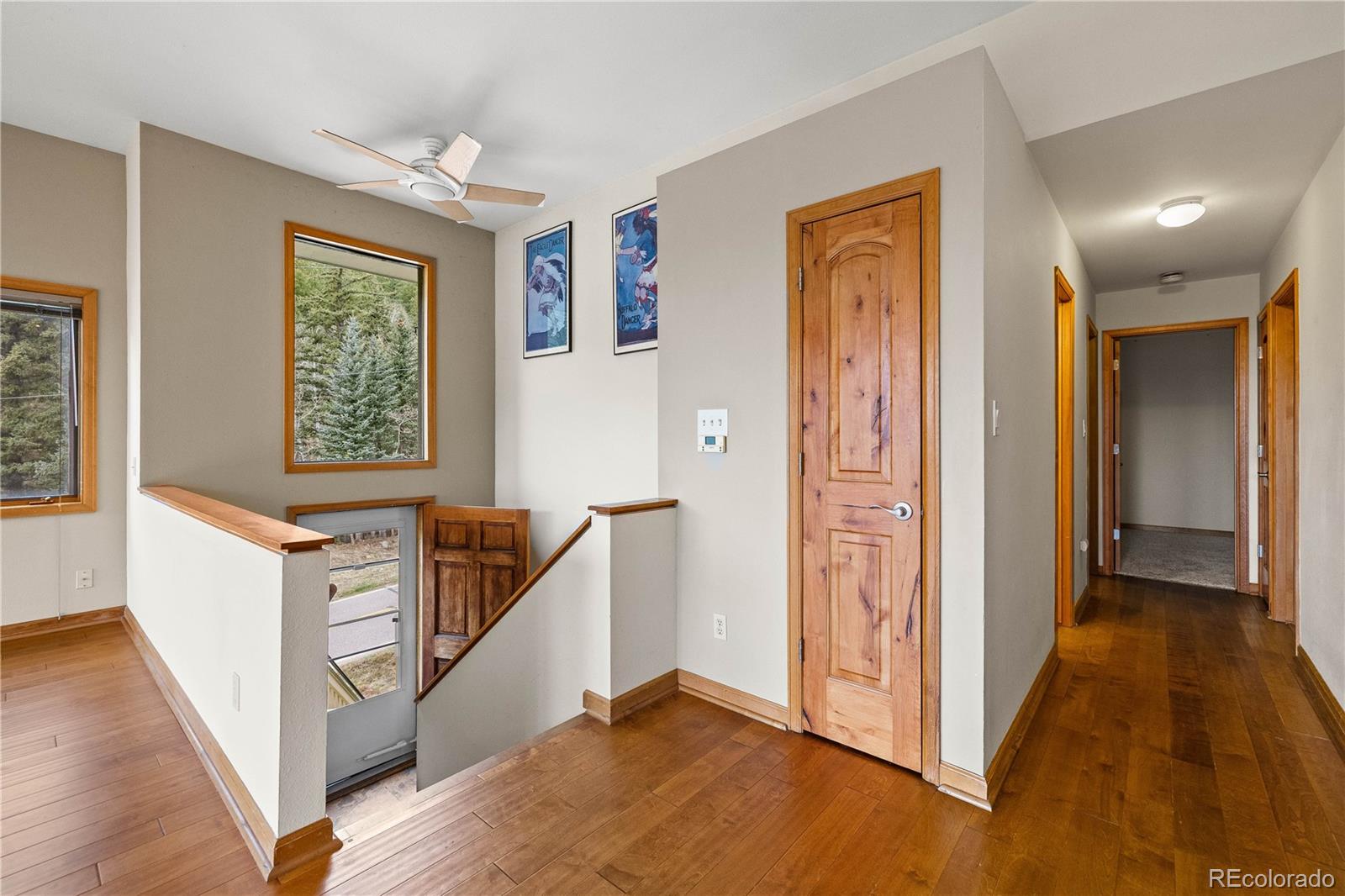 MLS Image #12 for 2192  witter gulch road,evergreen, Colorado