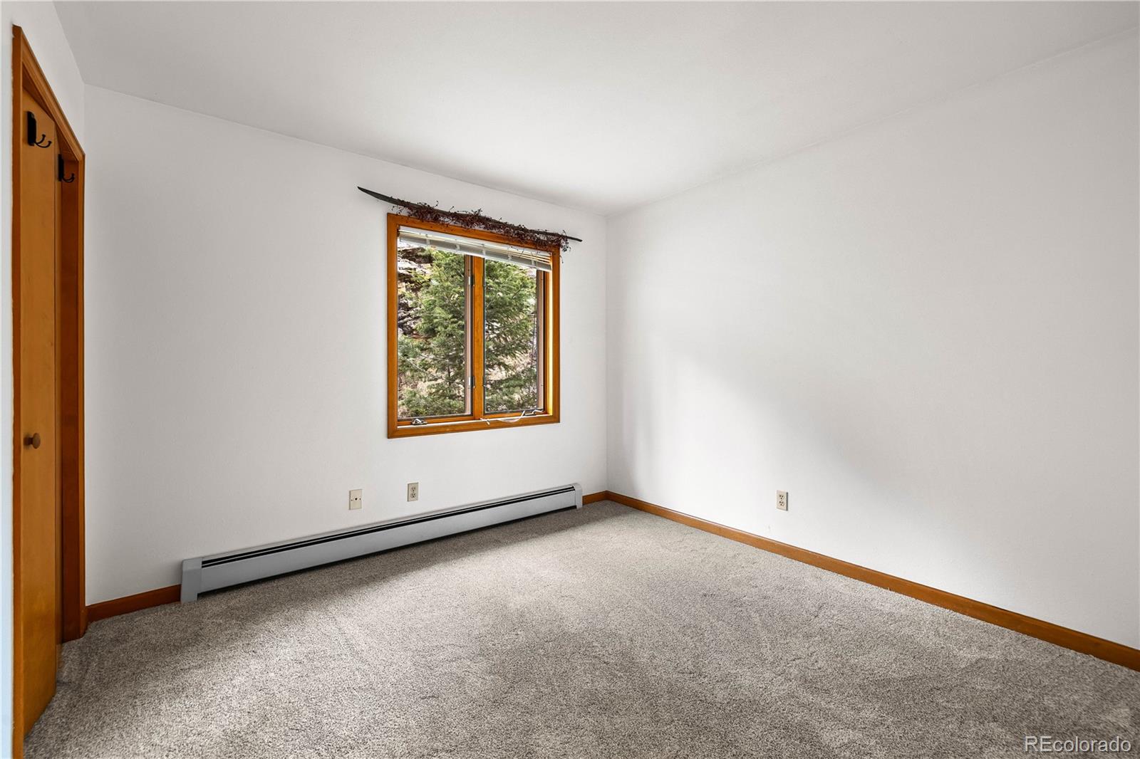 MLS Image #19 for 2192  witter gulch road,evergreen, Colorado