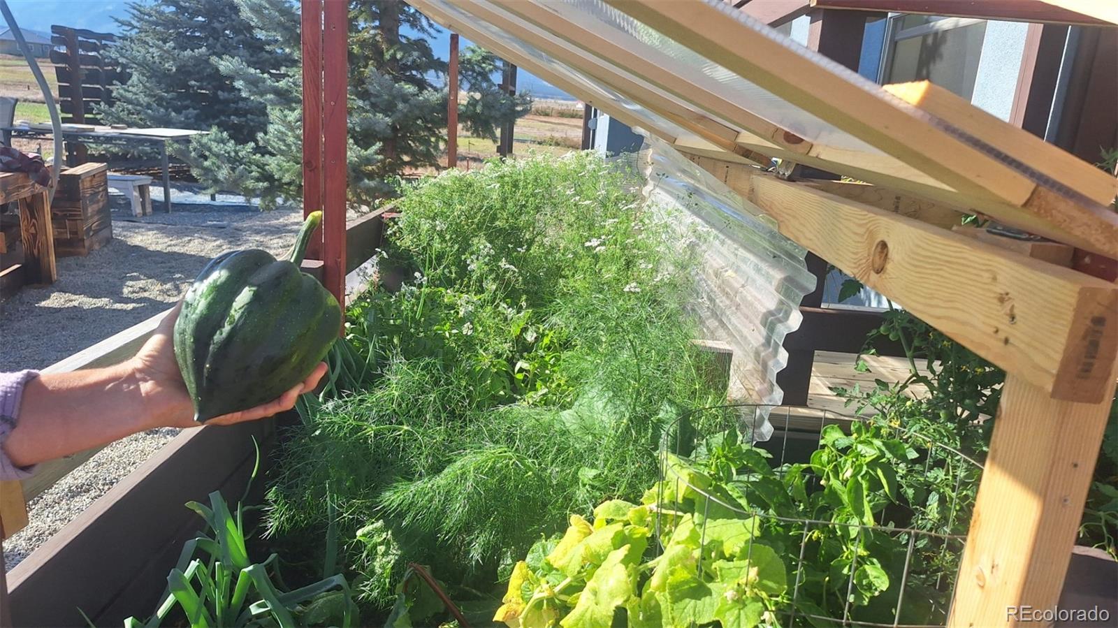 MLS Image #7 for 12593  ce ce lane,nathrop, Colorado