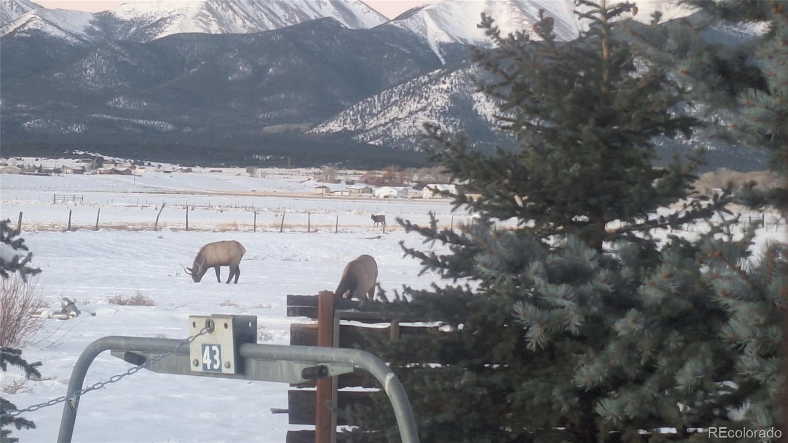 MLS Image #8 for 12593  ce ce lane,nathrop, Colorado