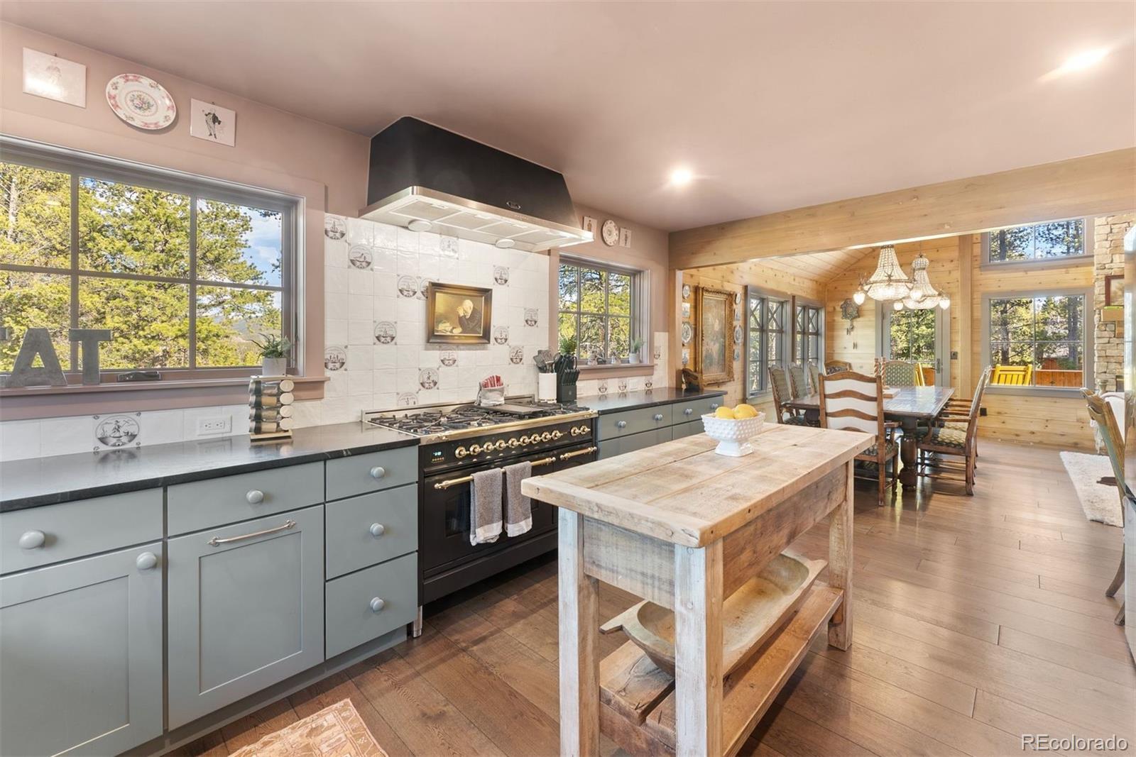 MLS Image #12 for 115  willow lane,breckenridge, Colorado