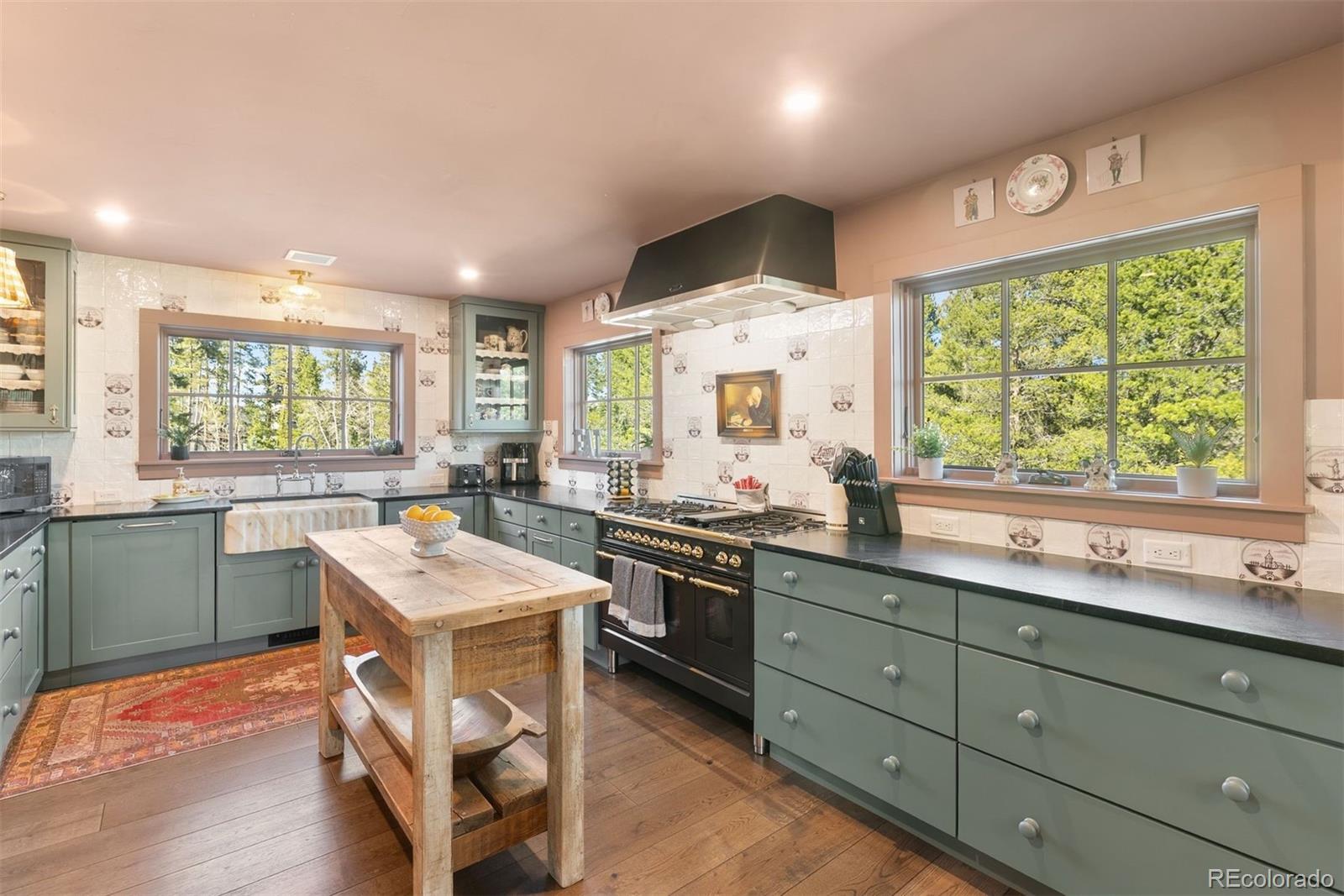 MLS Image #2 for 115  willow lane,breckenridge, Colorado