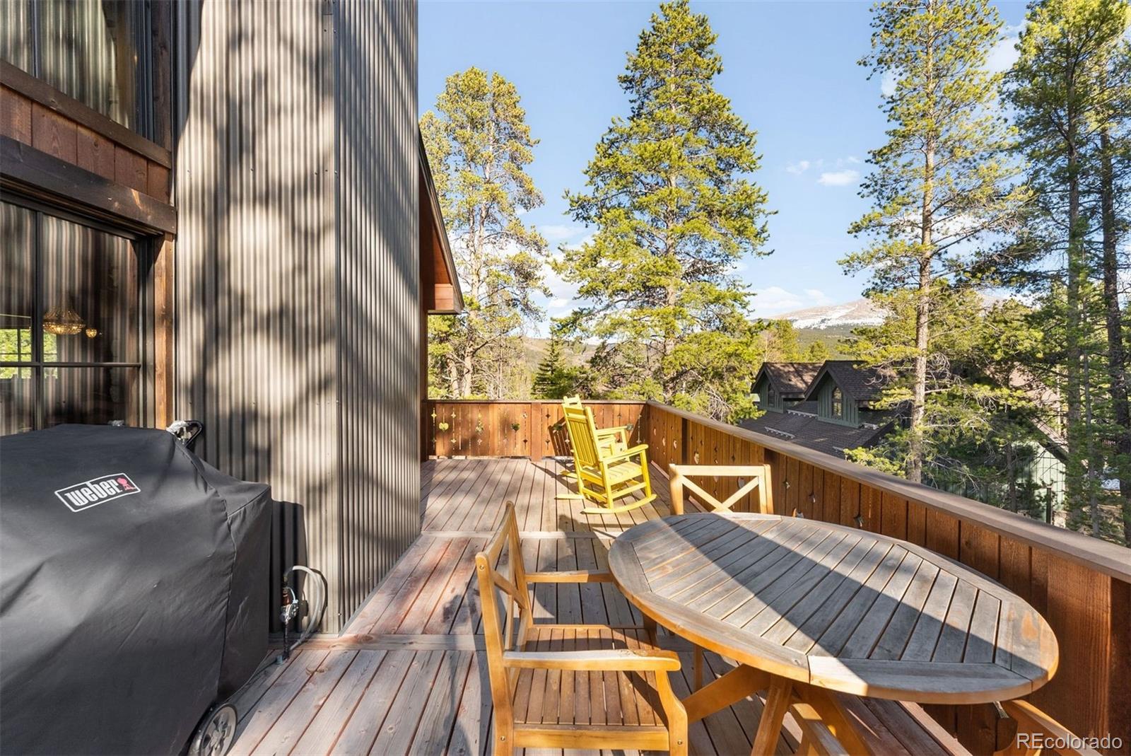 MLS Image #30 for 115  willow lane,breckenridge, Colorado
