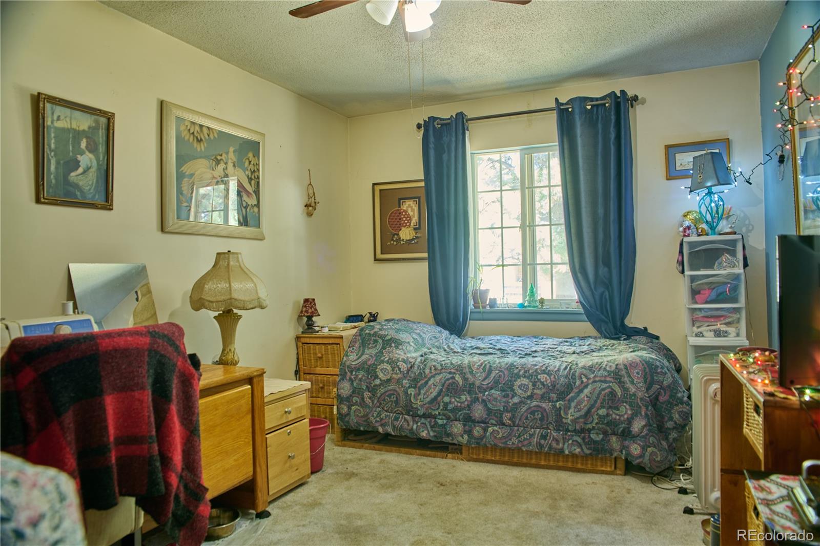 MLS Image #19 for 213  culebra street,san luis, Colorado