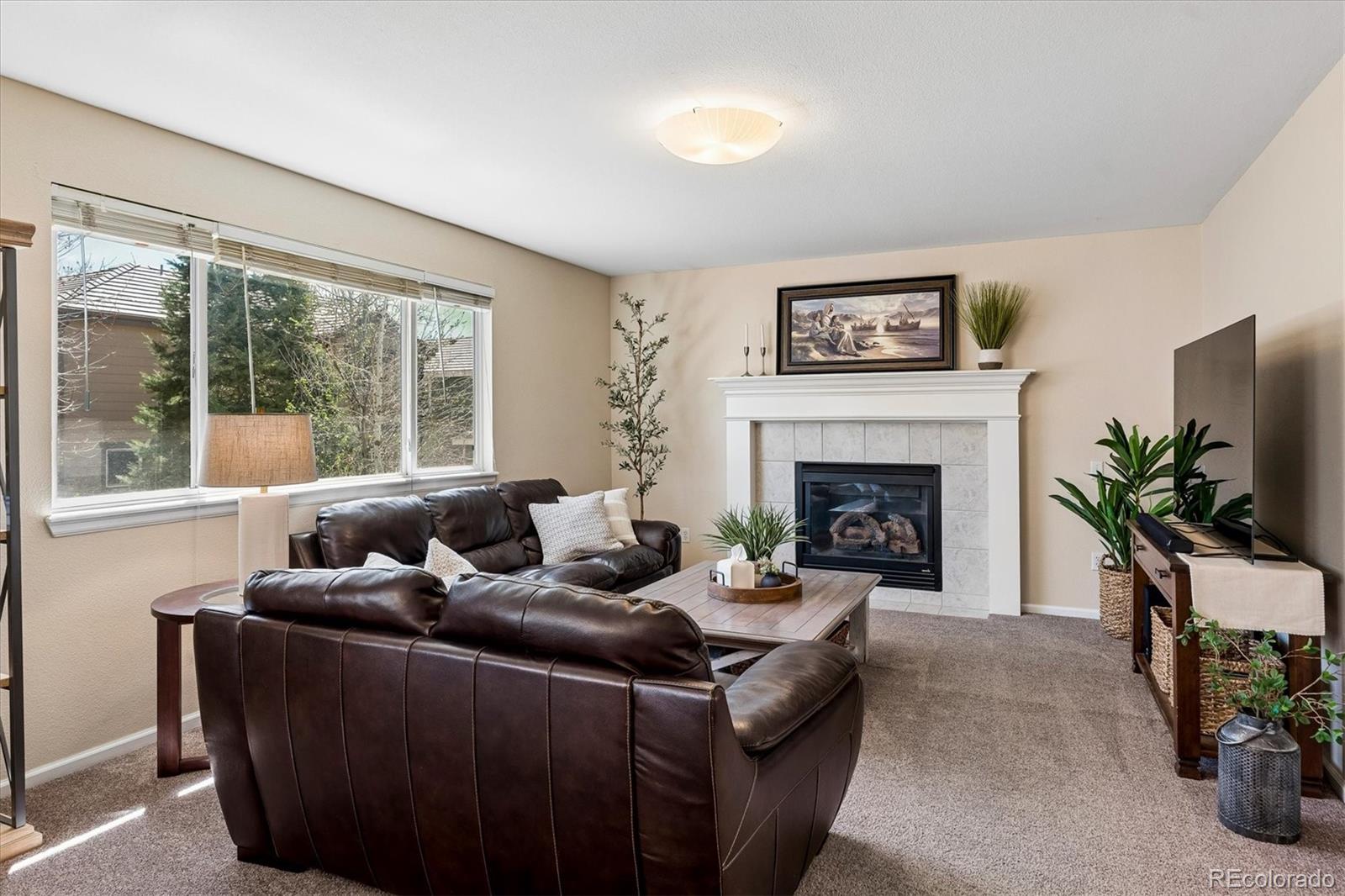 MLS Image #10 for 10534  westcliff place,highlands ranch, Colorado