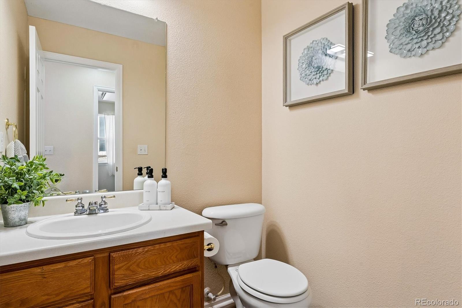 MLS Image #28 for 10534  westcliff place,highlands ranch, Colorado