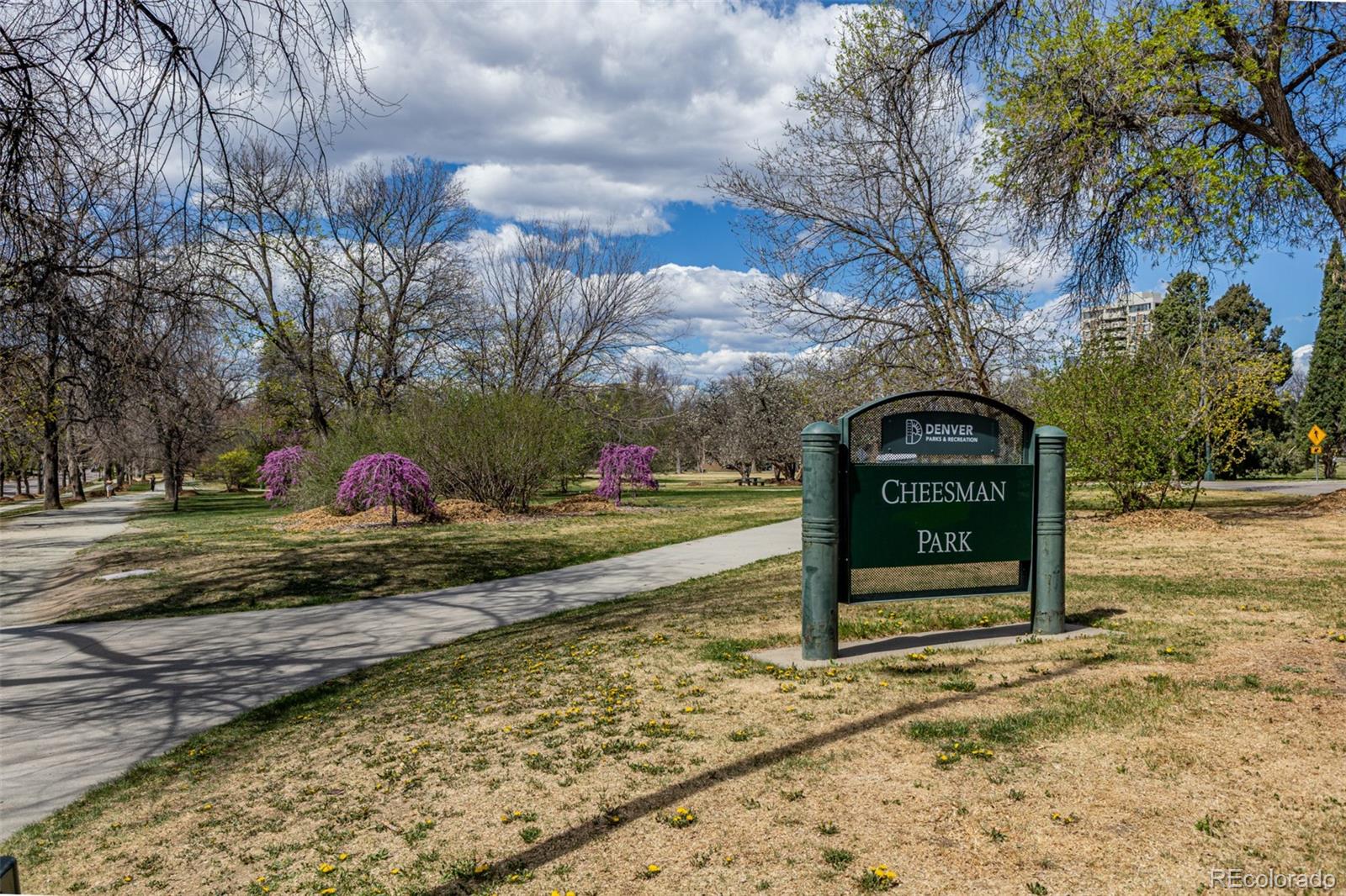 MLS Image #22 for 1130 n lafayette street,denver, Colorado