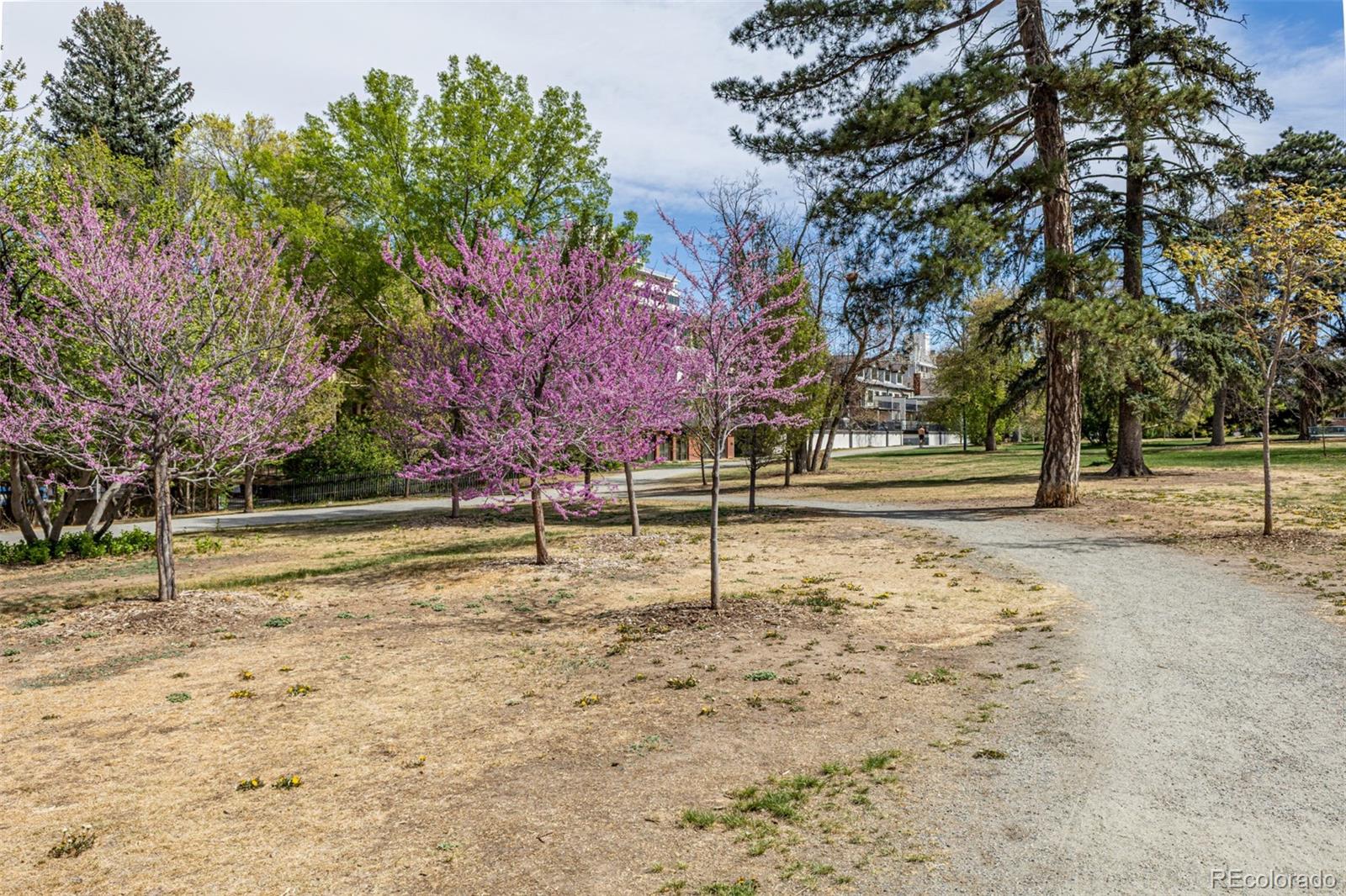 MLS Image #23 for 1130 n lafayette street,denver, Colorado
