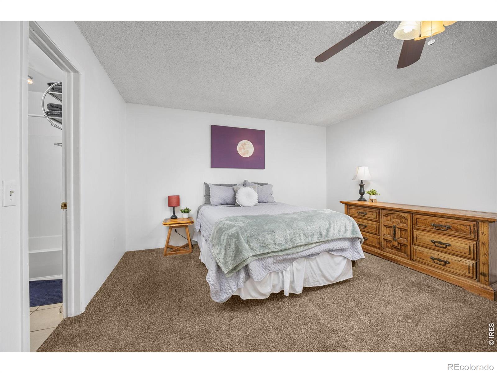 MLS Image #14 for 548  vance street,lakewood, Colorado