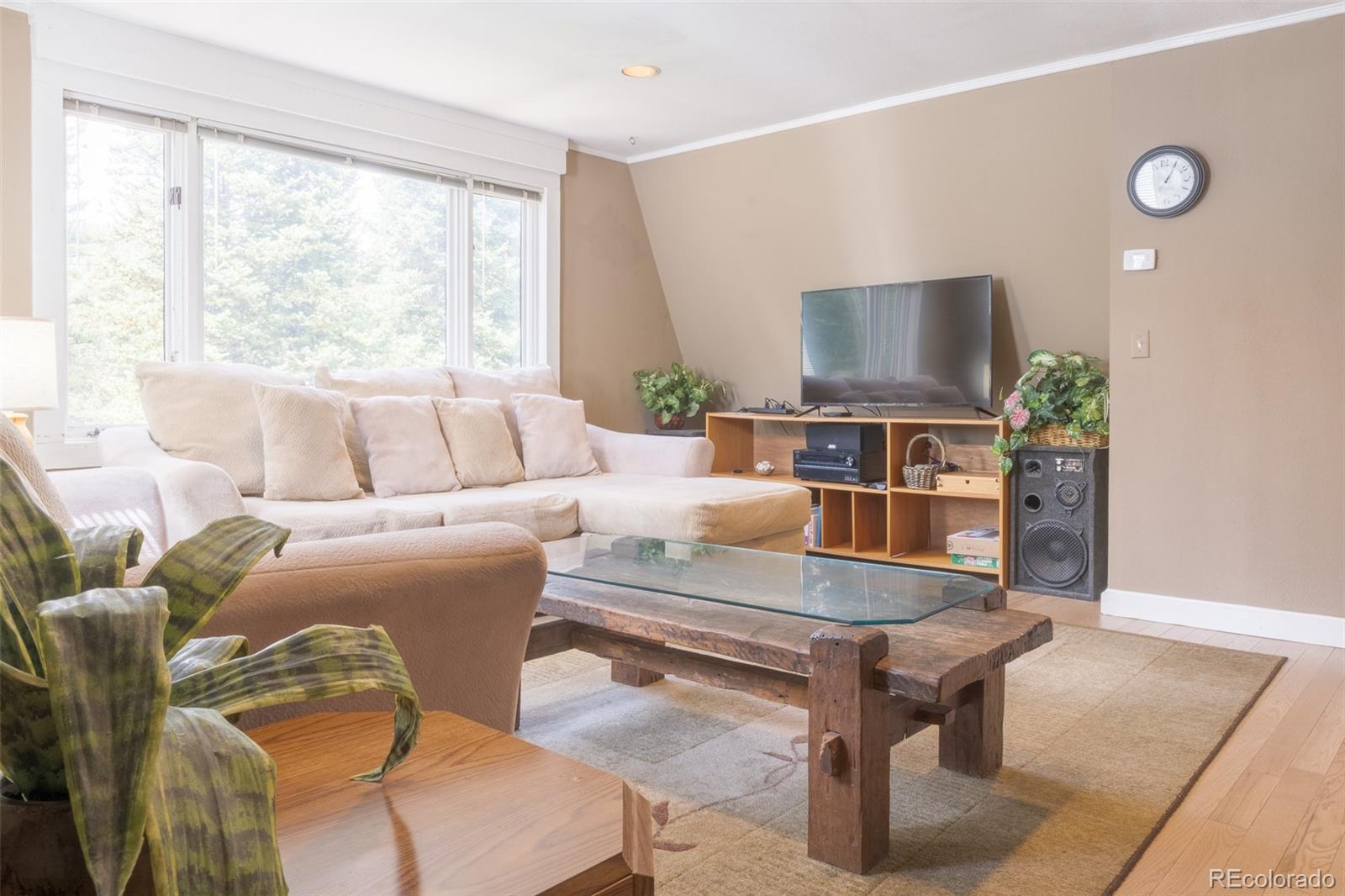MLS Image #8 for 291  doris drive,breckenridge, Colorado