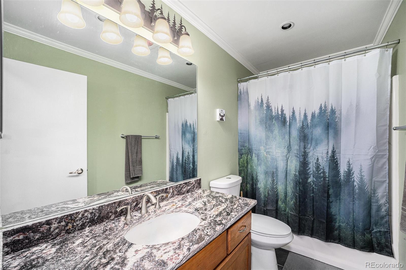 MLS Image #21 for 72  rudi ln w ,golden, Colorado