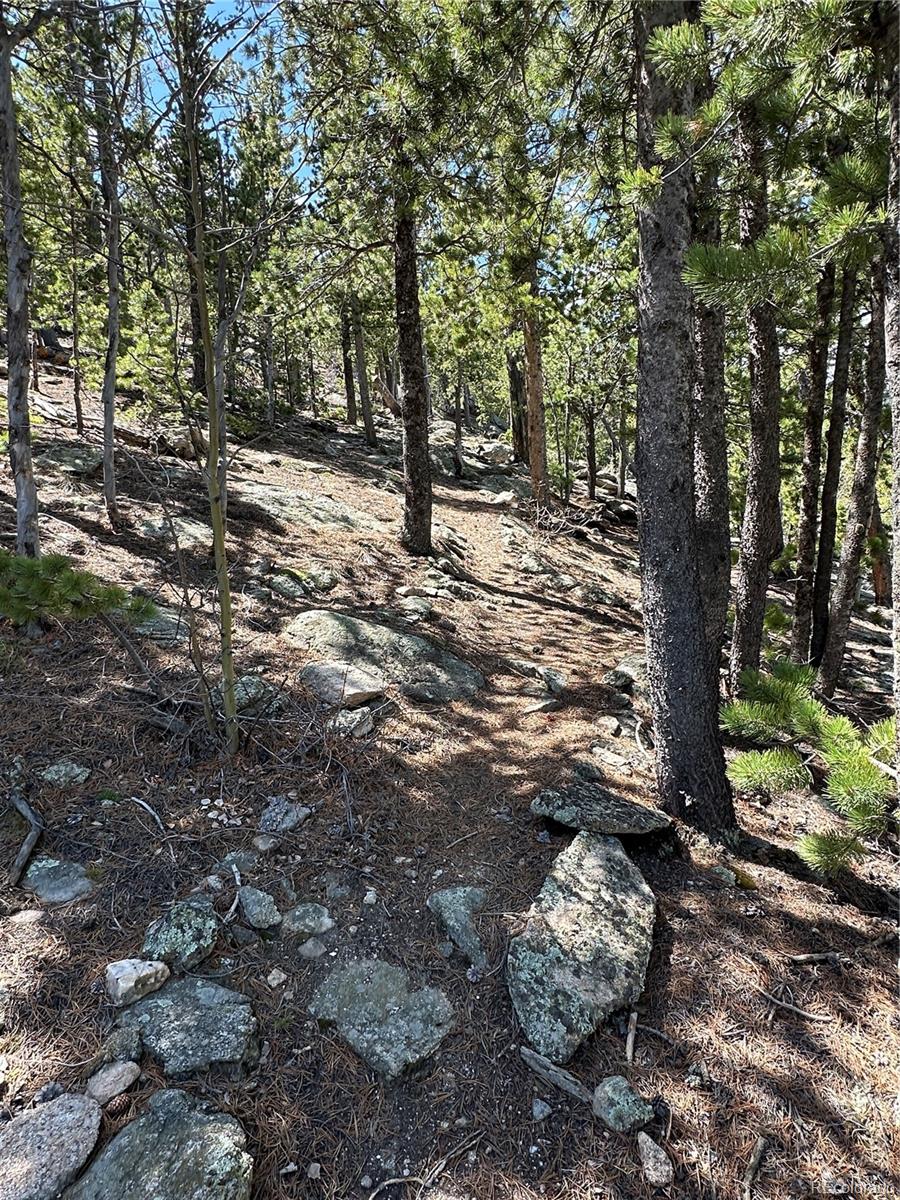MLS Image #31 for 72  rudi ln w ,golden, Colorado