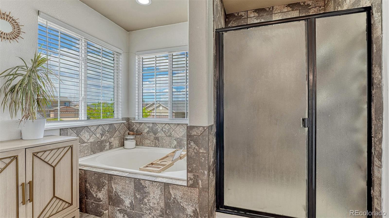 MLS Image #18 for 8329  freestar way,colorado springs, Colorado