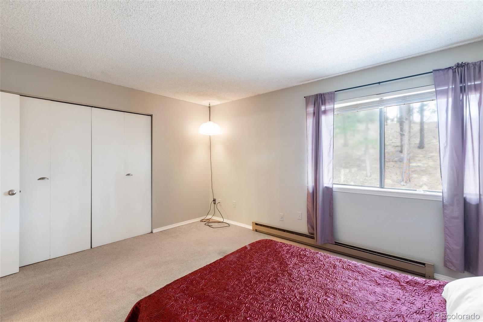 MLS Image #19 for 560  manor court,woodland park, Colorado