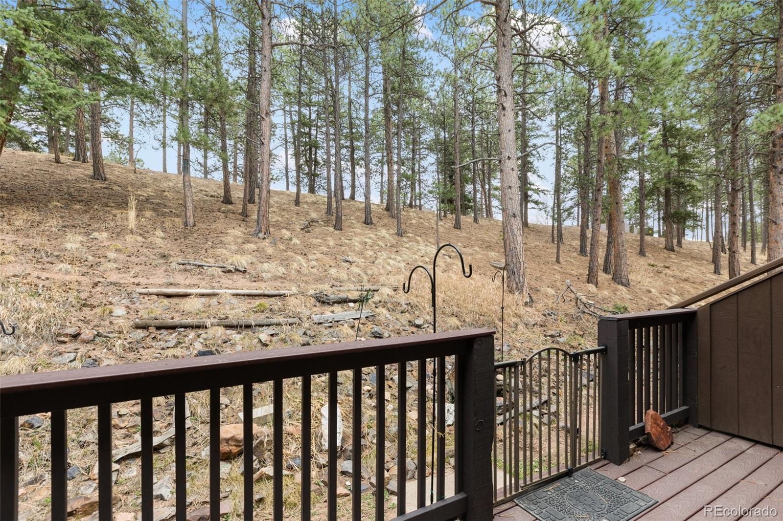 MLS Image #24 for 560  manor court,woodland park, Colorado