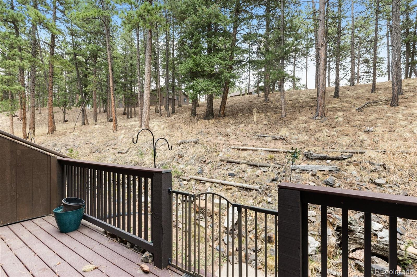 MLS Image #26 for 560  manor court,woodland park, Colorado