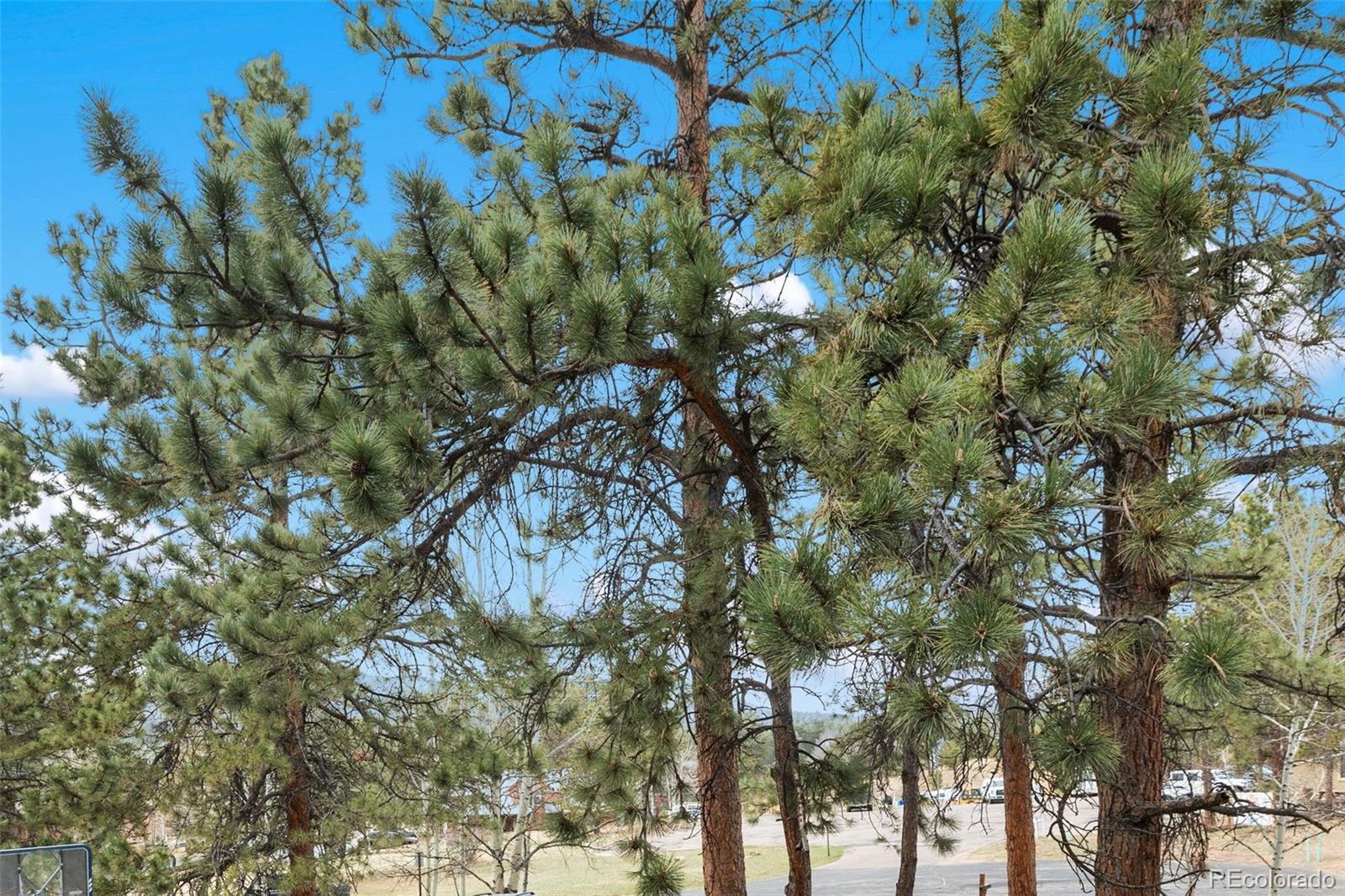 MLS Image #30 for 560  manor court,woodland park, Colorado