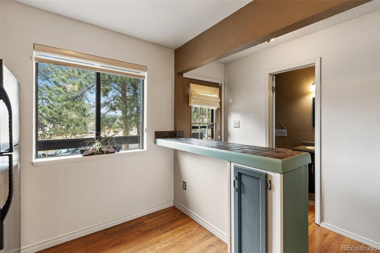MLS Image #9 for 560  manor court,woodland park, Colorado