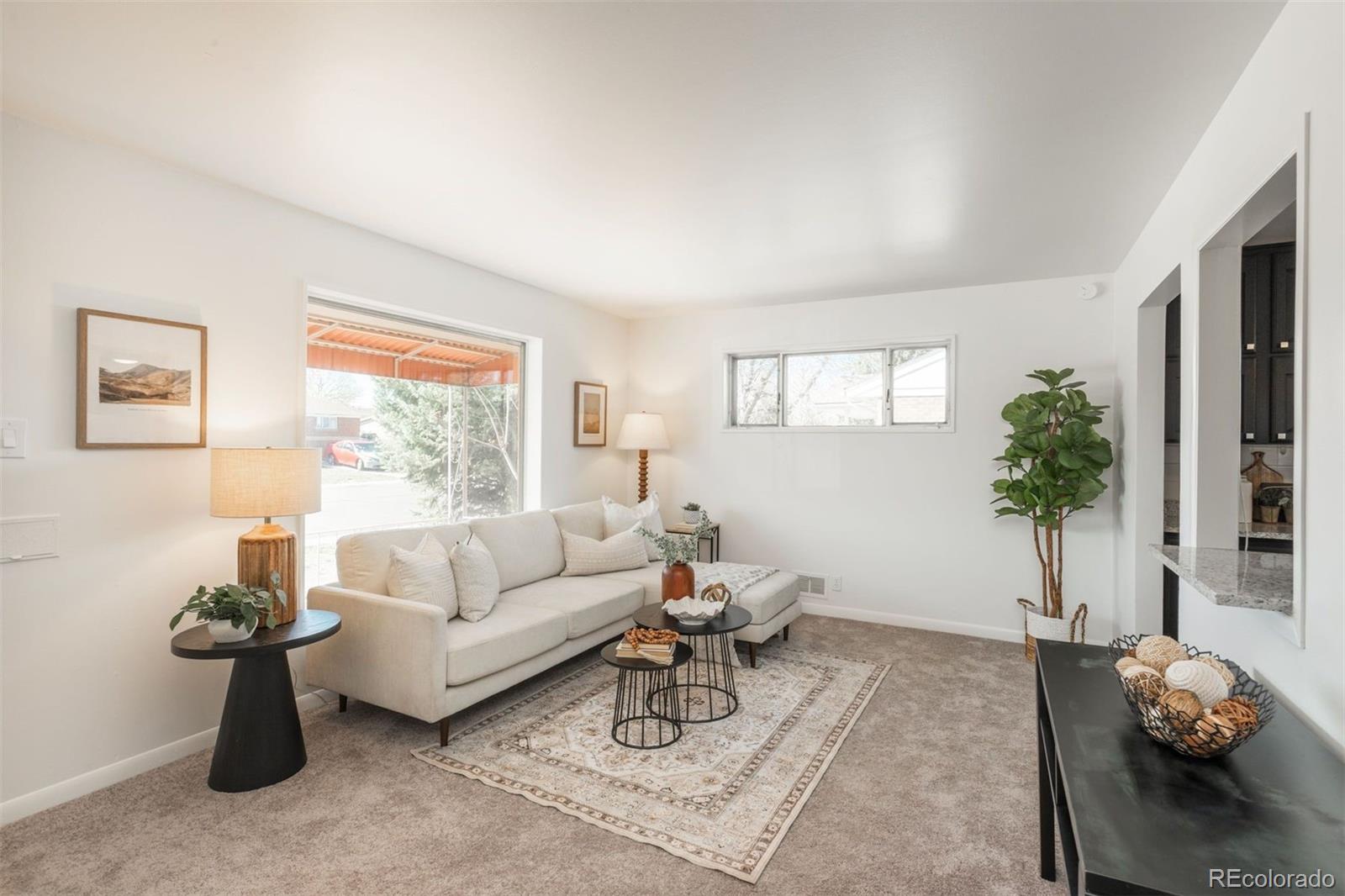 MLS Image #8 for 7220  avrum drive,denver, Colorado