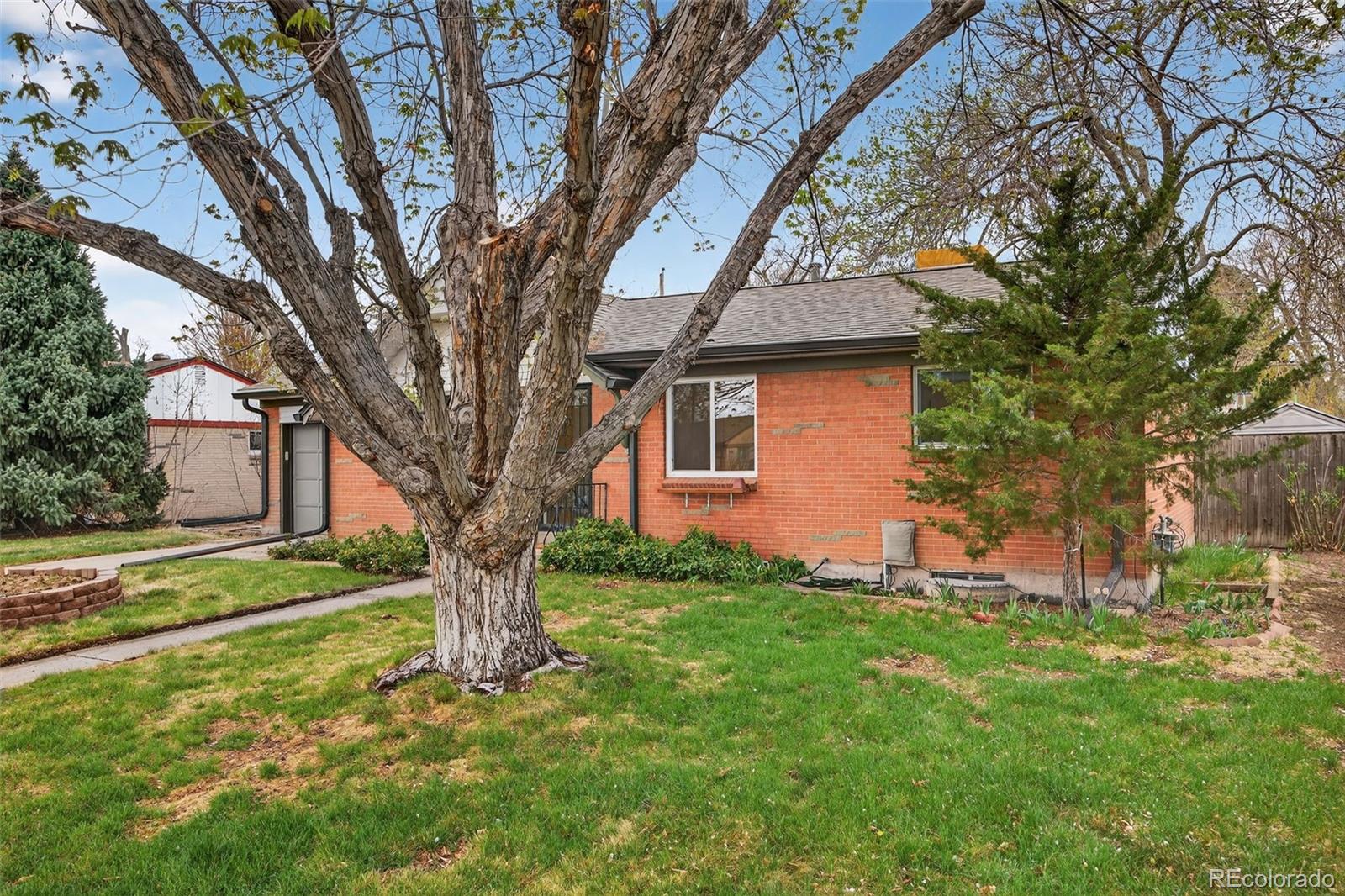 MLS Image #3 for 141 s reed street,lakewood, Colorado