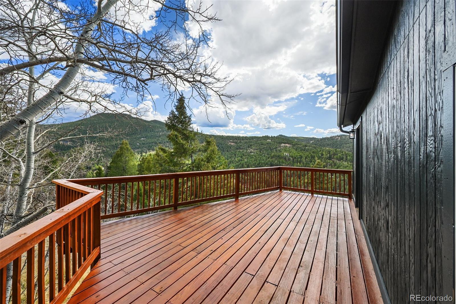 MLS Image #6 for 11725  tomahawk trail,conifer, Colorado