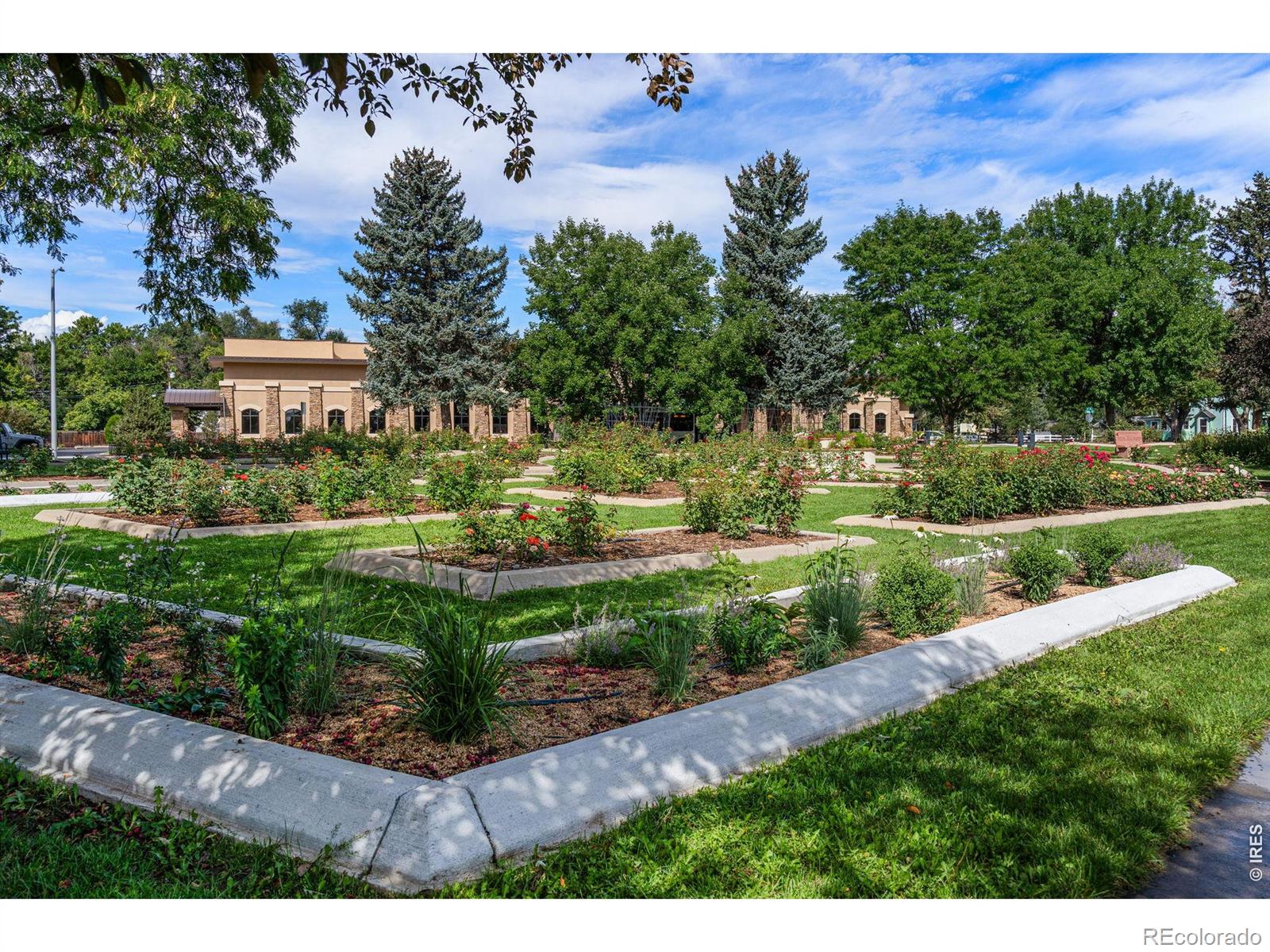 MLS Image #25 for 850  judson street,longmont, Colorado