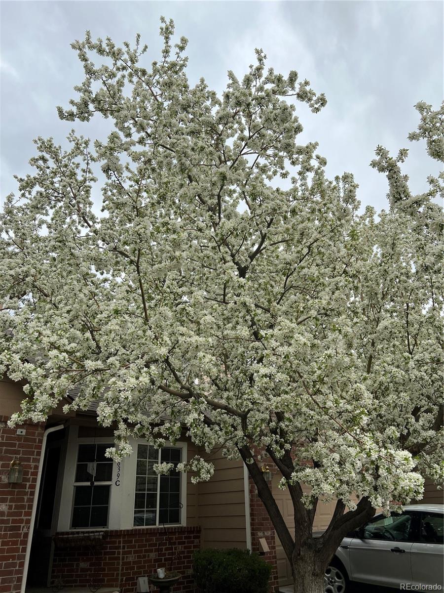 MLS Image #32 for 6839 s webster street c,littleton, Colorado