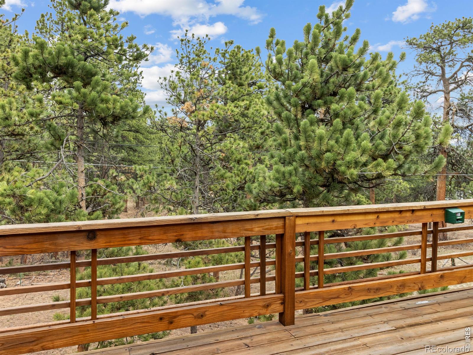 MLS Image #24 for 1431 s saint vrain avenue,estes park, Colorado