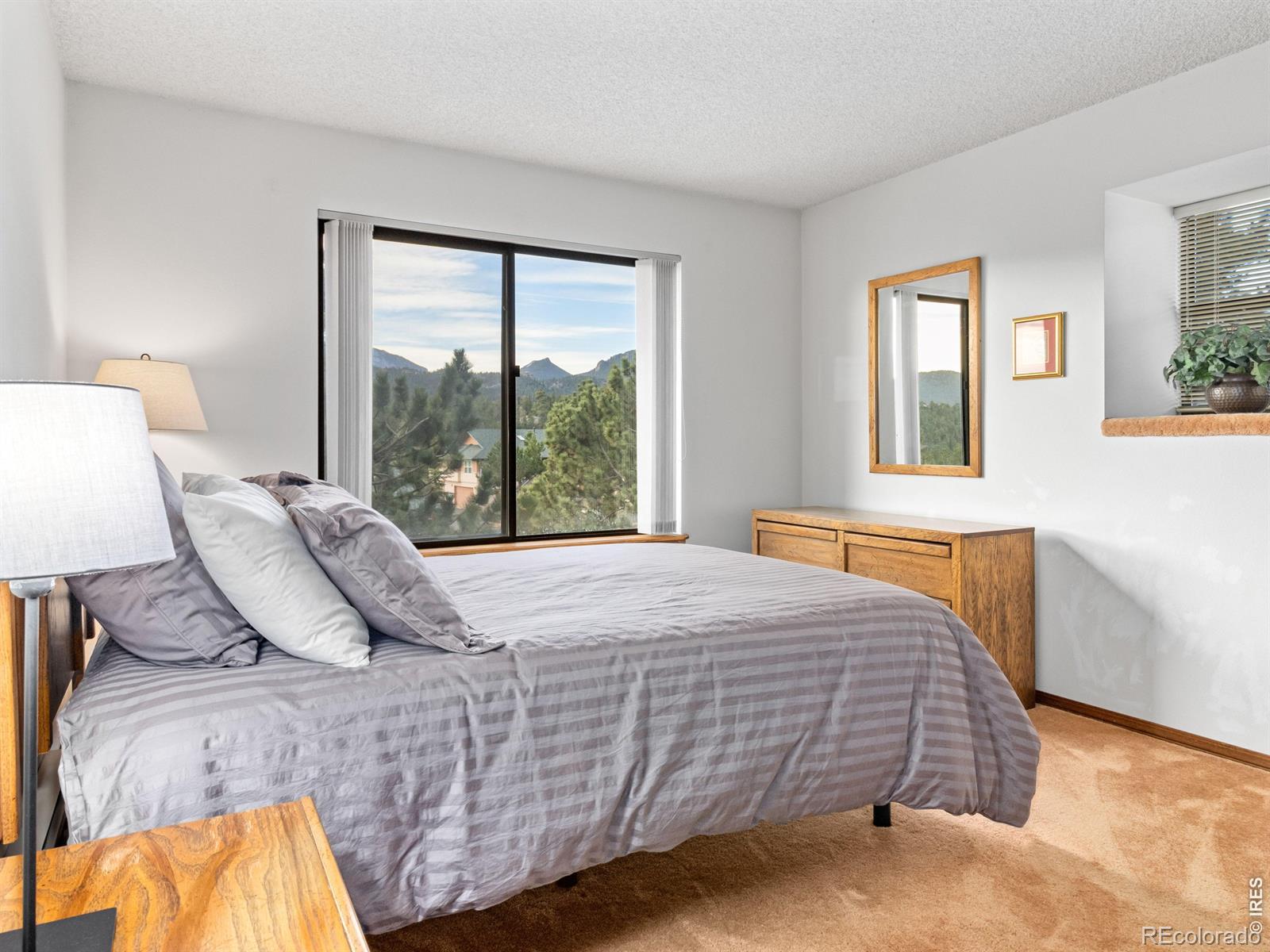 MLS Image #12 for 321  big horn drive,estes park, Colorado