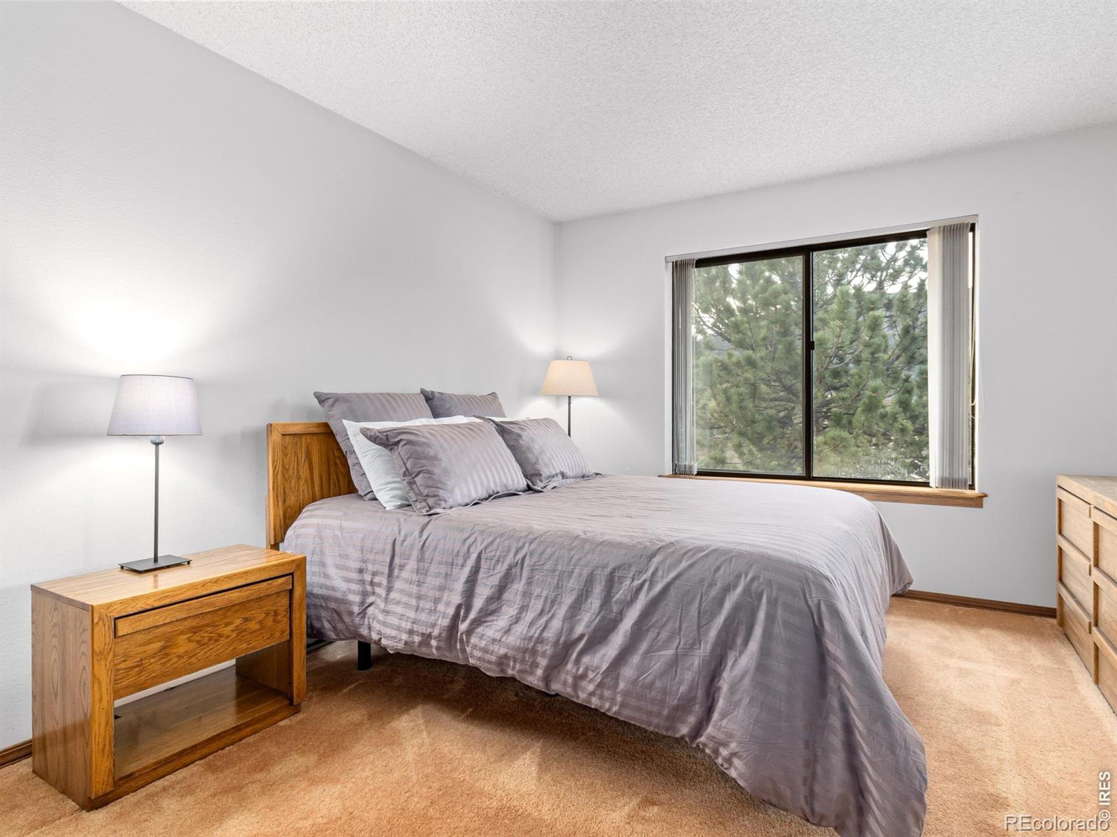 MLS Image #13 for 321  big horn drive,estes park, Colorado