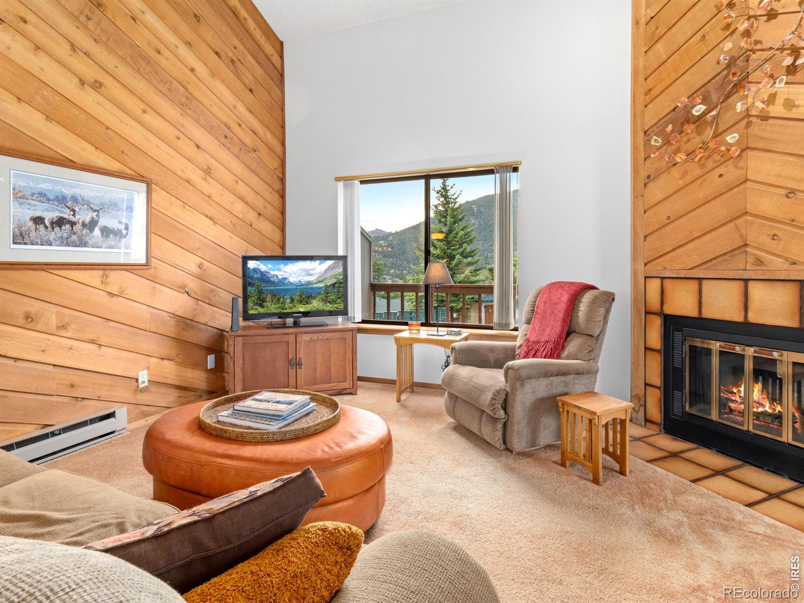 MLS Image #3 for 321  big horn drive,estes park, Colorado