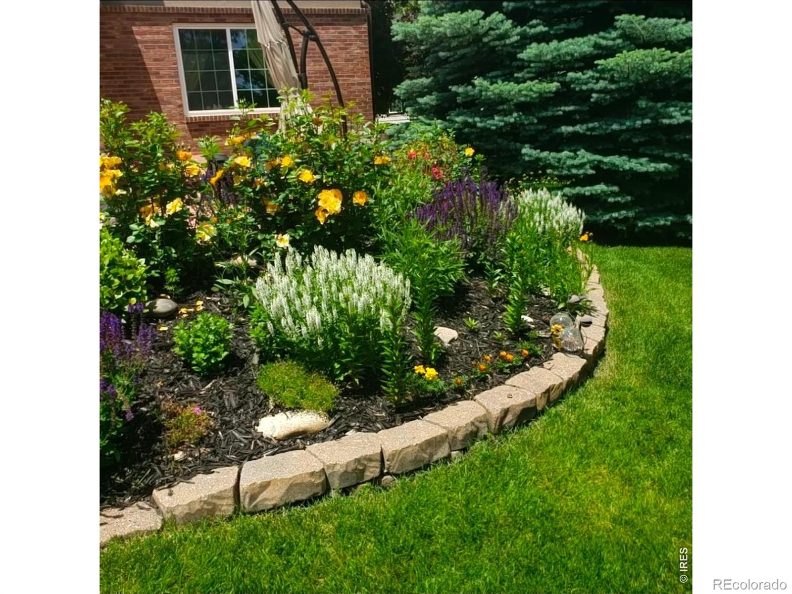 MLS Image #41 for 549  arrowhead drive,loveland, Colorado