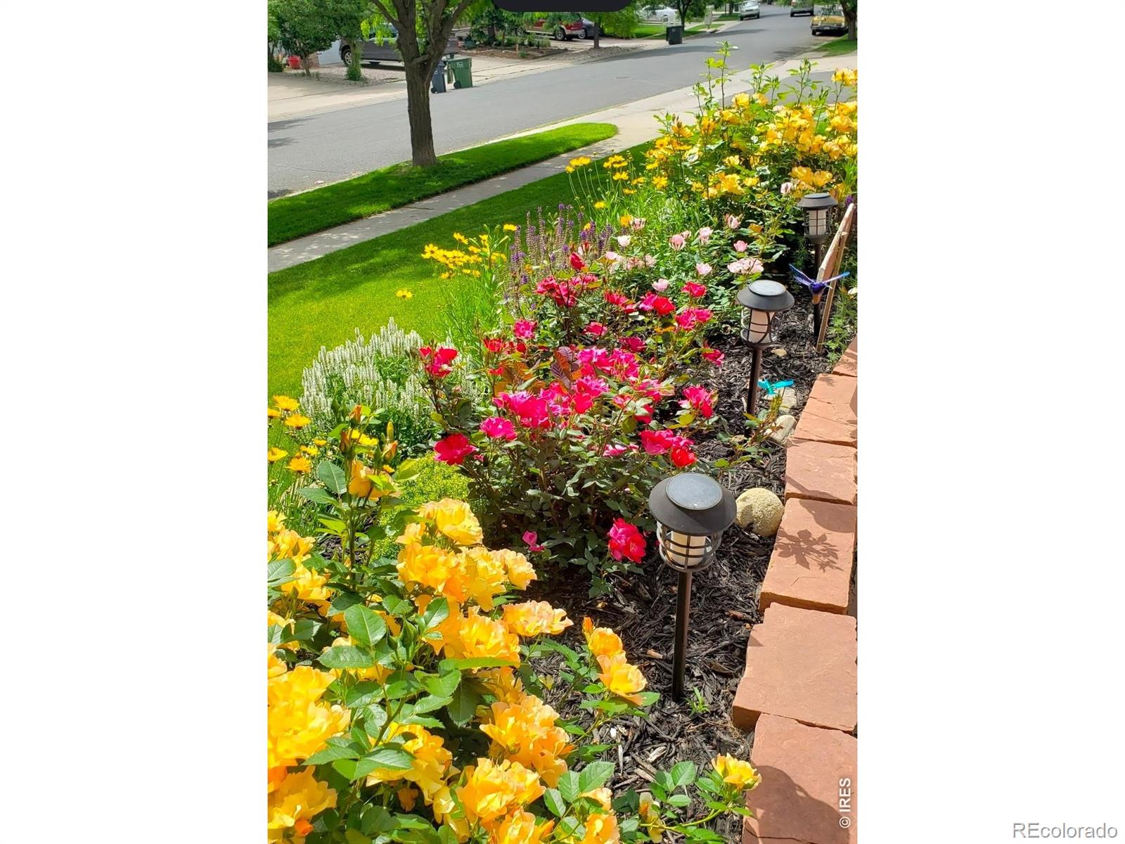 MLS Image #42 for 549  arrowhead drive,loveland, Colorado