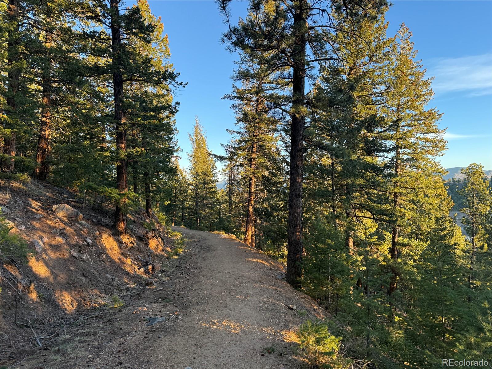 MLS Image #19 for 31254  sugarhill lane,evergreen, Colorado