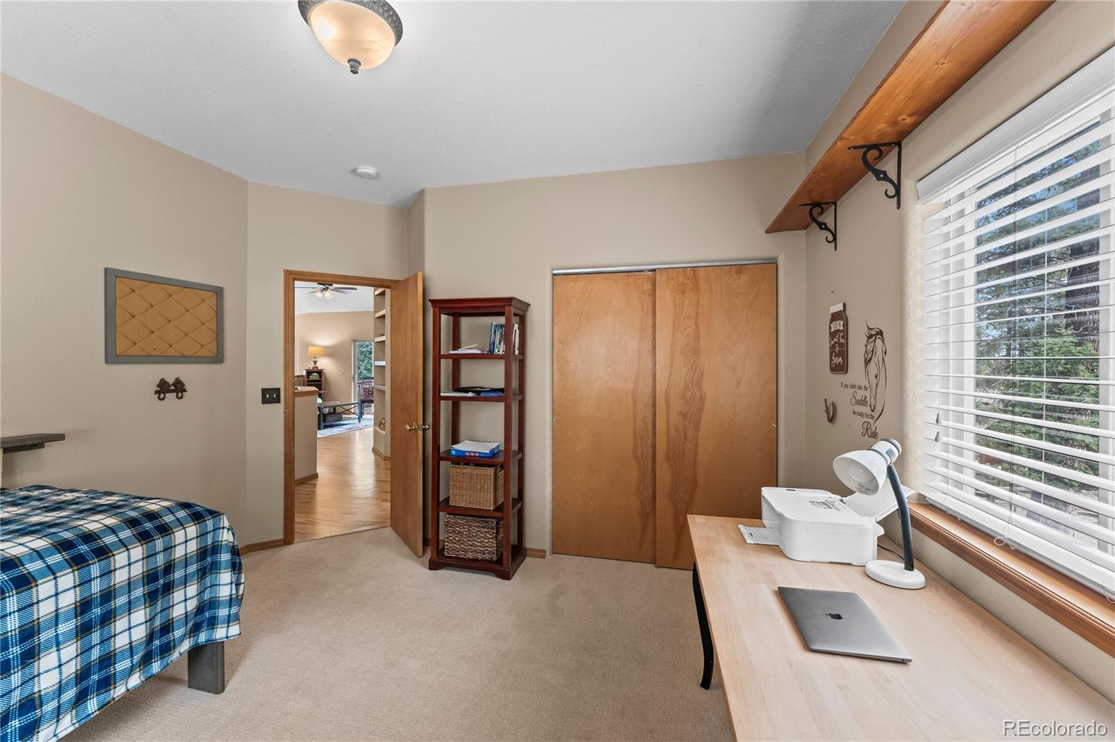 MLS Image #21 for 1308  spruce ridge lane,woodland park, Colorado