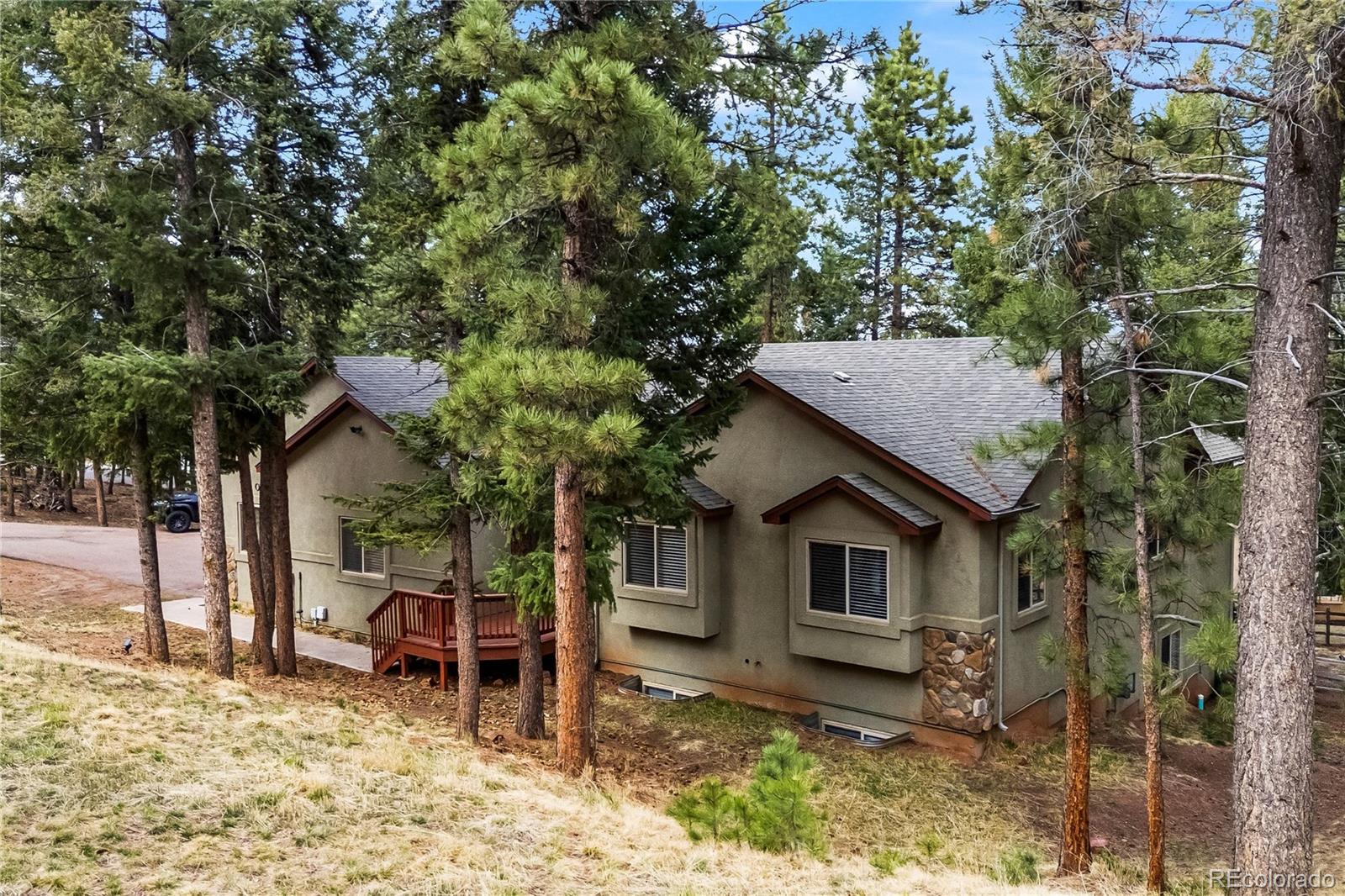 MLS Image #41 for 1308  spruce ridge lane,woodland park, Colorado