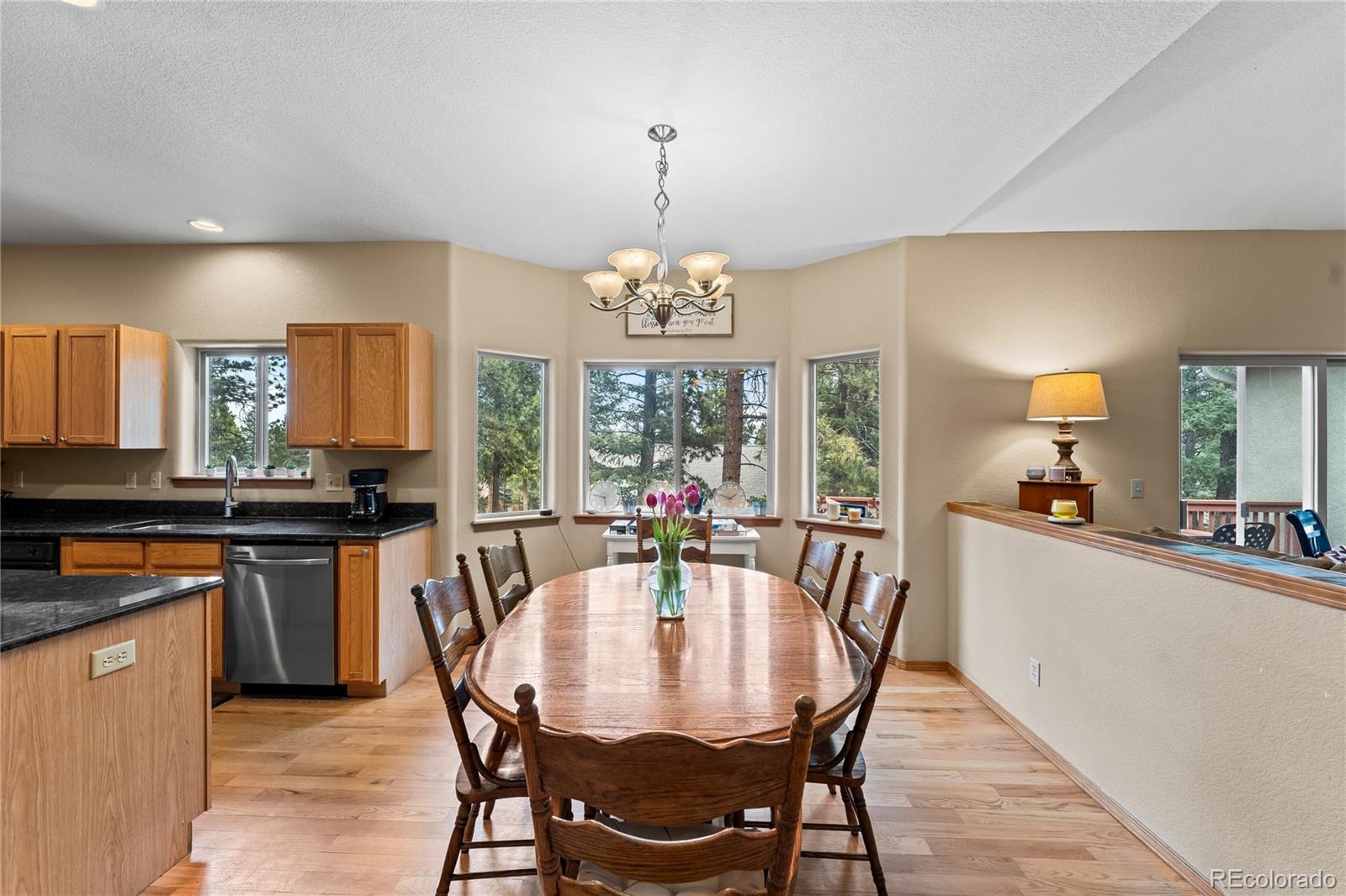 MLS Image #7 for 1308  spruce ridge lane,woodland park, Colorado