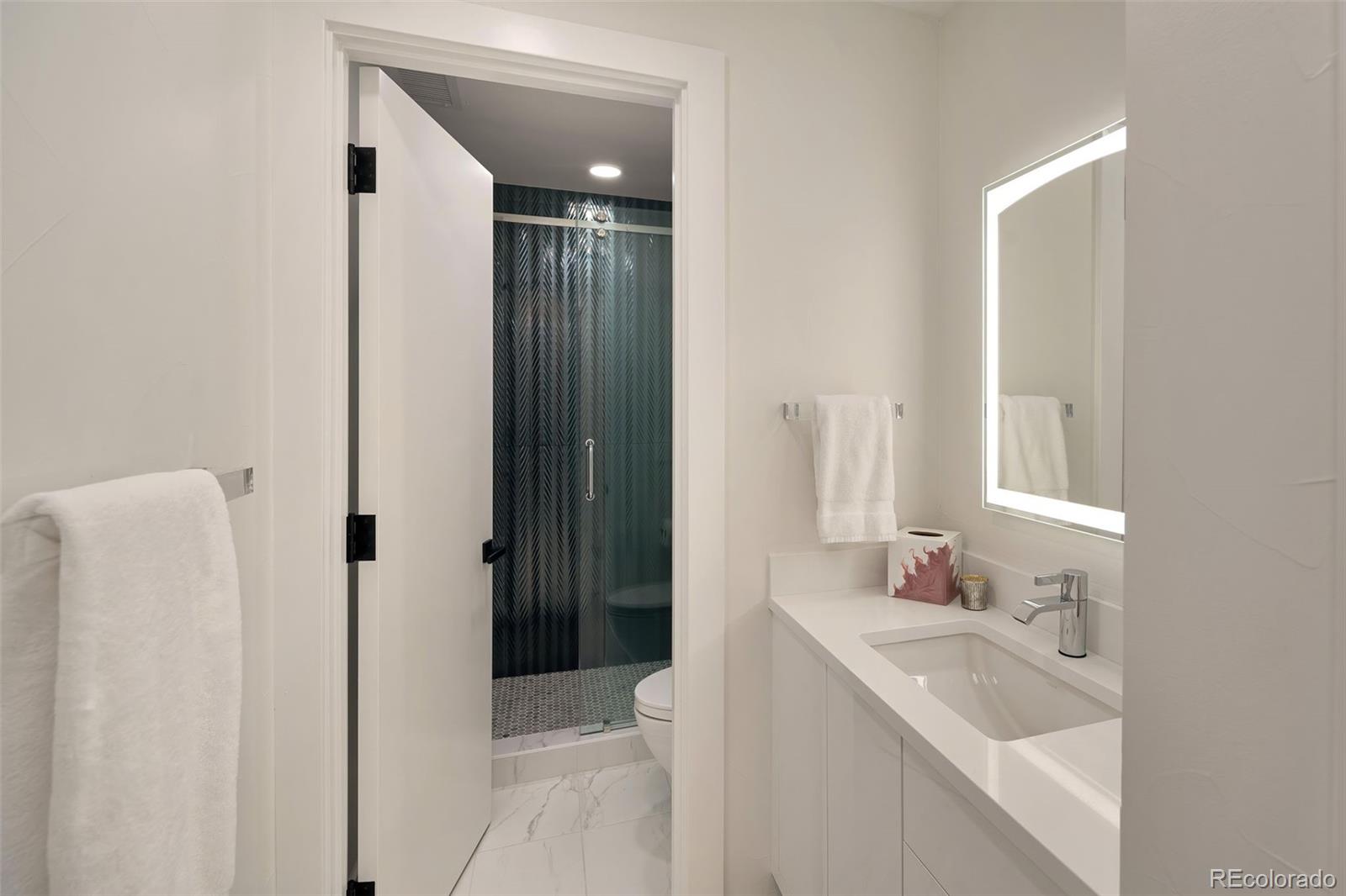 MLS Image #33 for 418  steele street,denver, Colorado