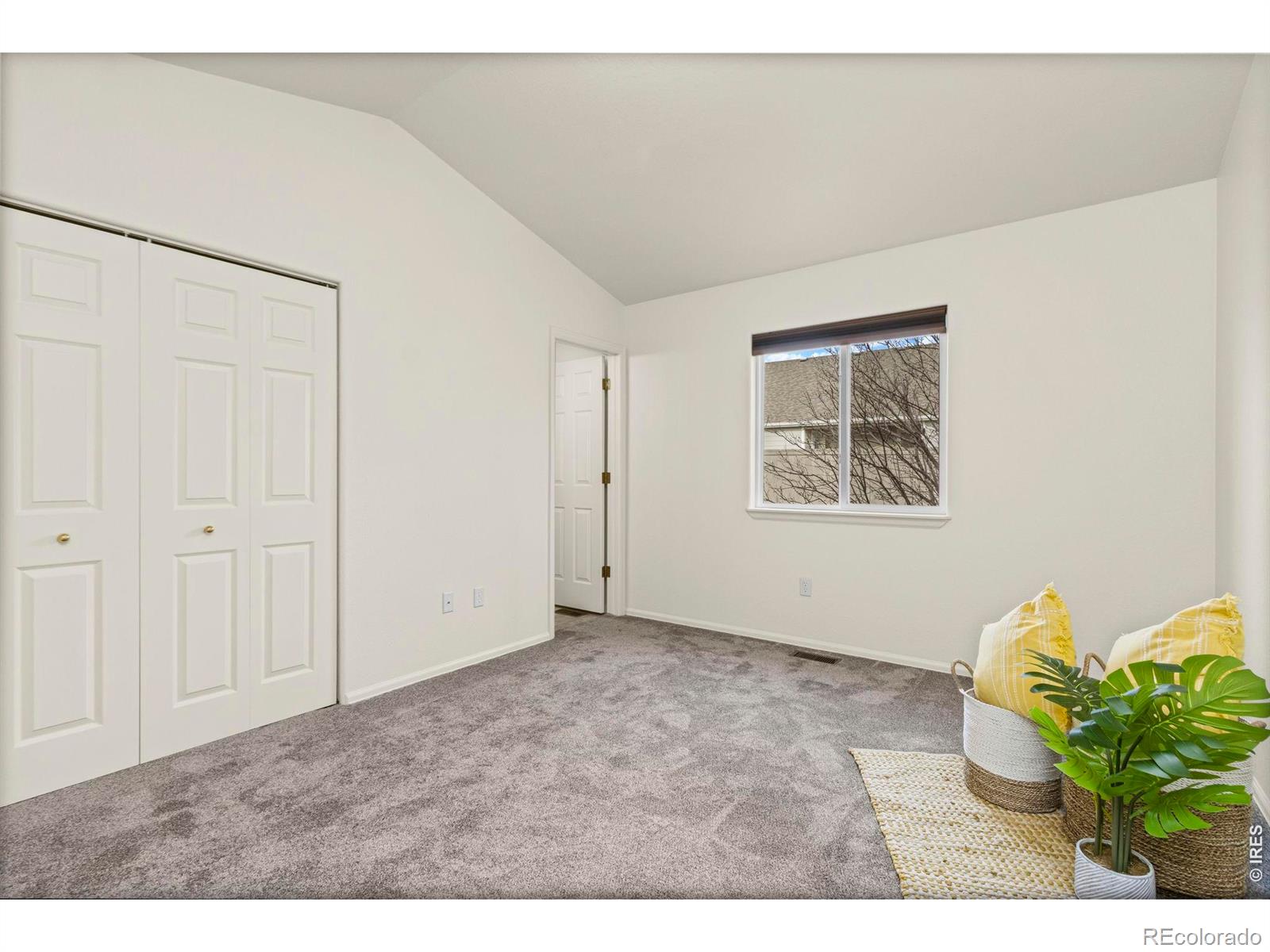 MLS Image #18 for 3312  firewater lane,wellington, Colorado
