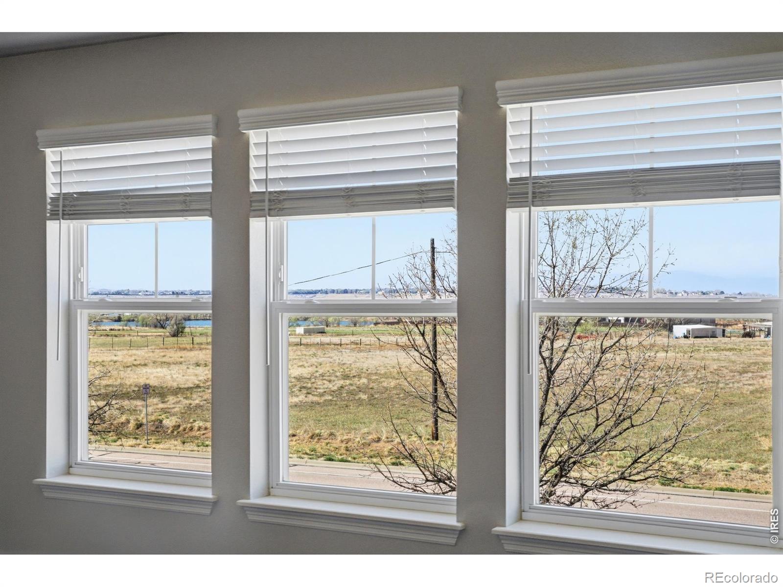 MLS Image #24 for 1692  grand avenue,windsor, Colorado