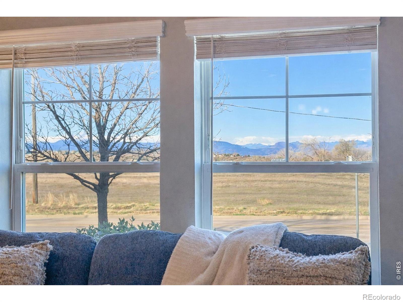 MLS Image #26 for 1692  grand avenue,windsor, Colorado