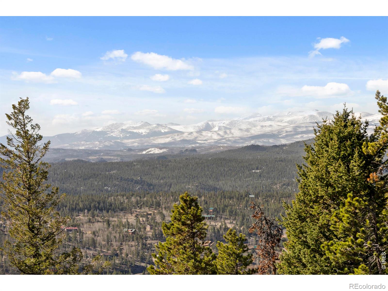 MLS Image #29 for 241  mattapony way,red feather lakes, Colorado
