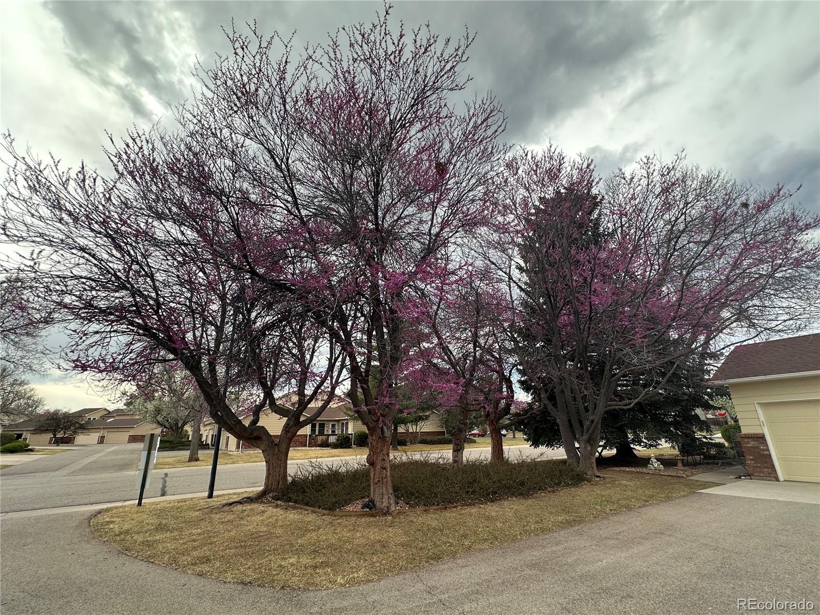 MLS Image #21 for 3324  hickok drive,fort collins, Colorado