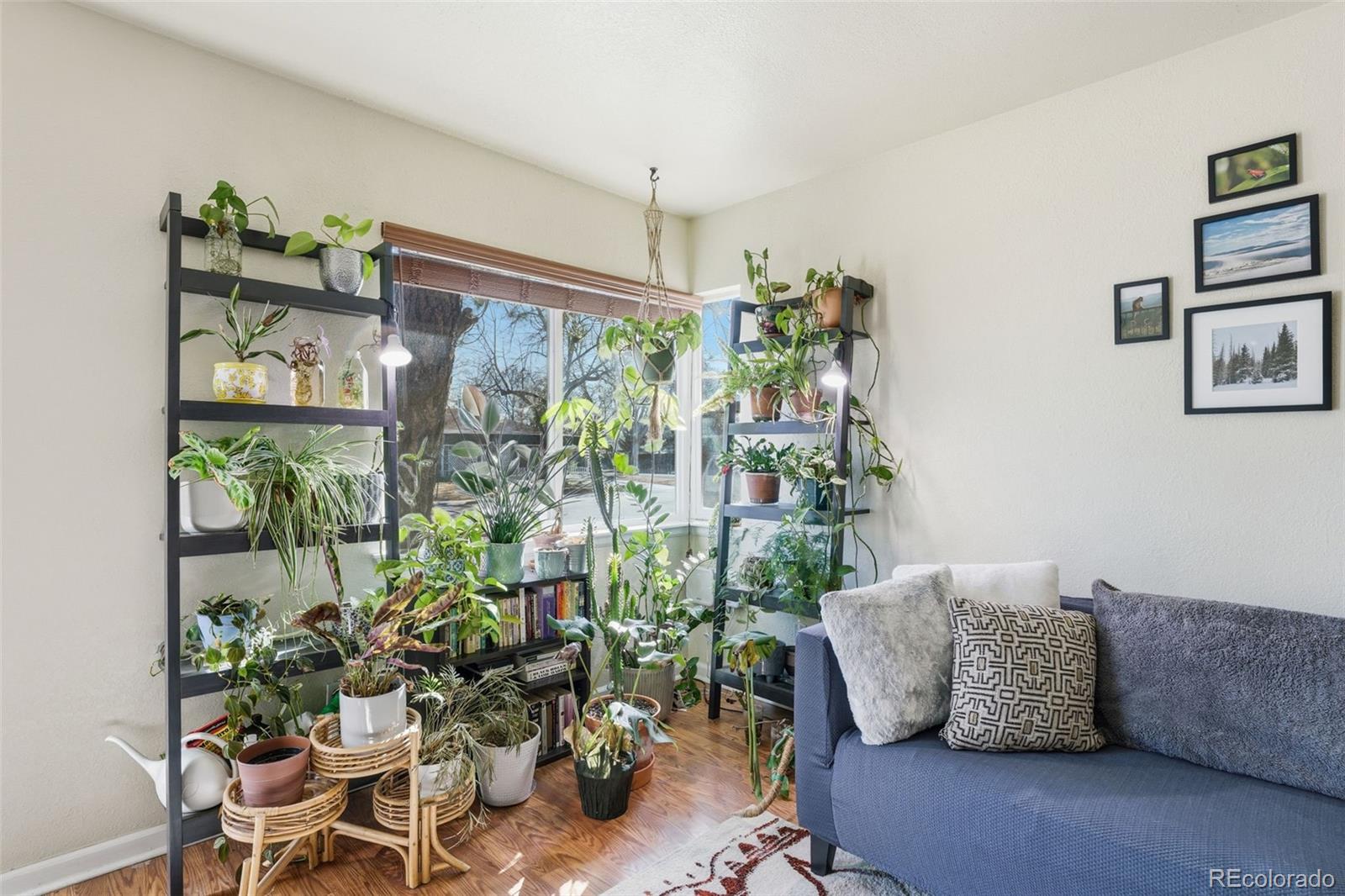 MLS Image #4 for 811  ursula street,aurora, Colorado