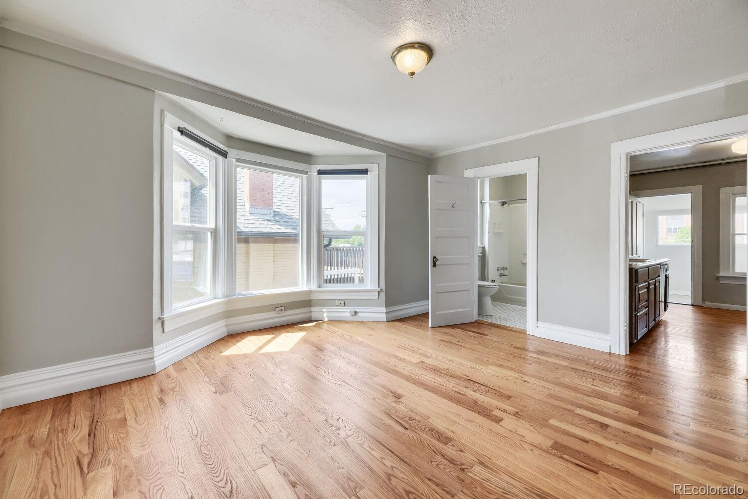 MLS Image #18 for 541-543  logan street,denver, Colorado