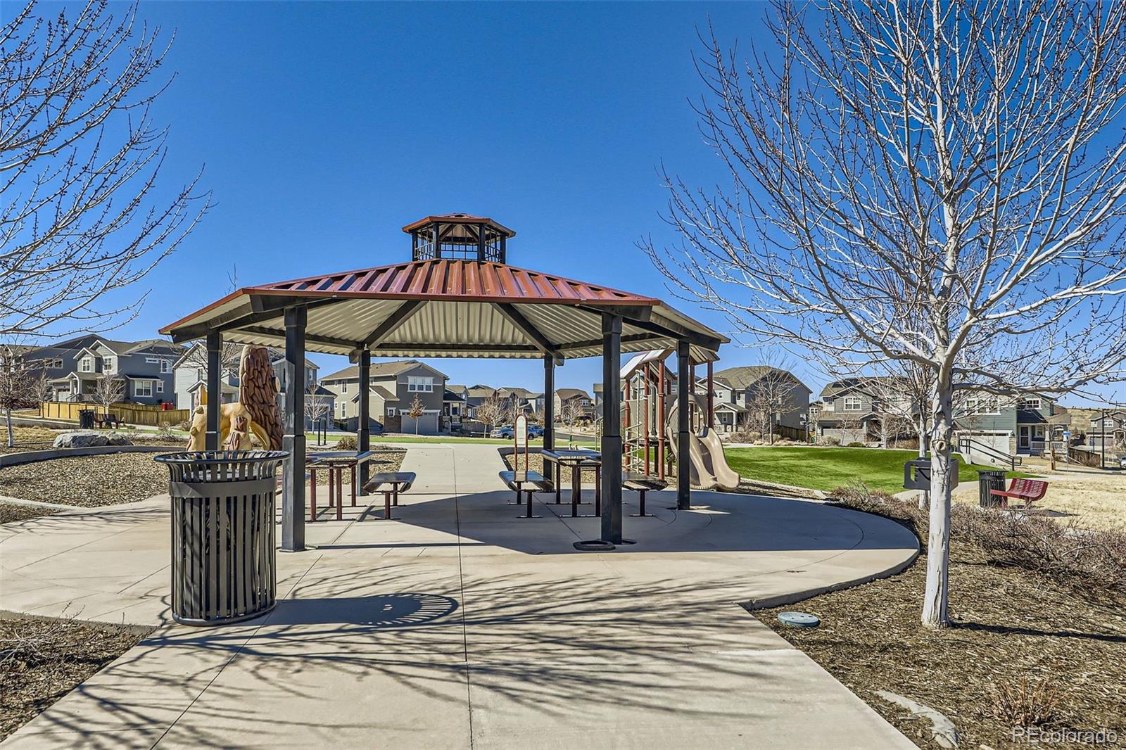 MLS Image #27 for 3744  celestial avenue,castle rock, Colorado