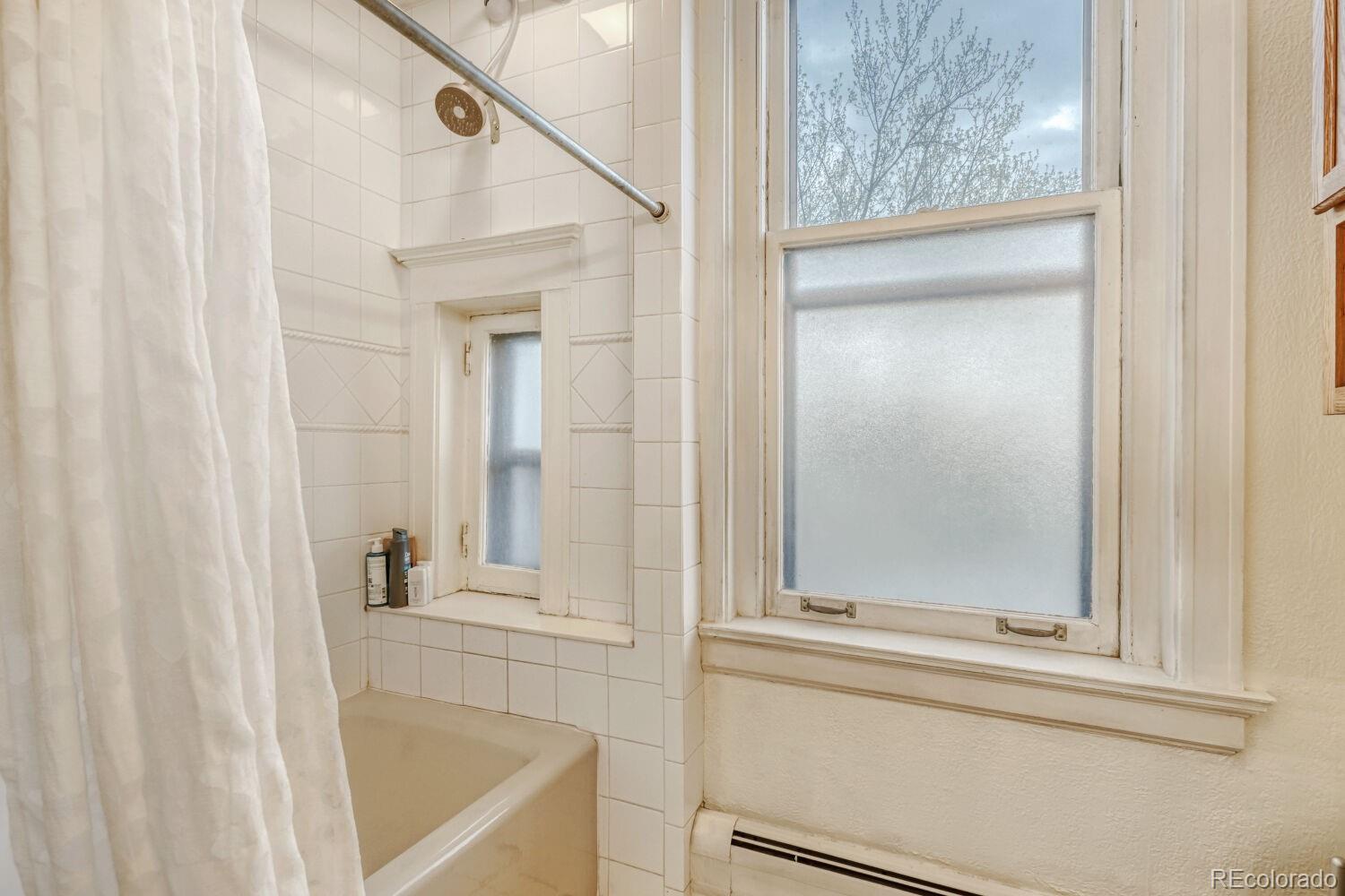 MLS Image #23 for 108 w byers place,denver, Colorado